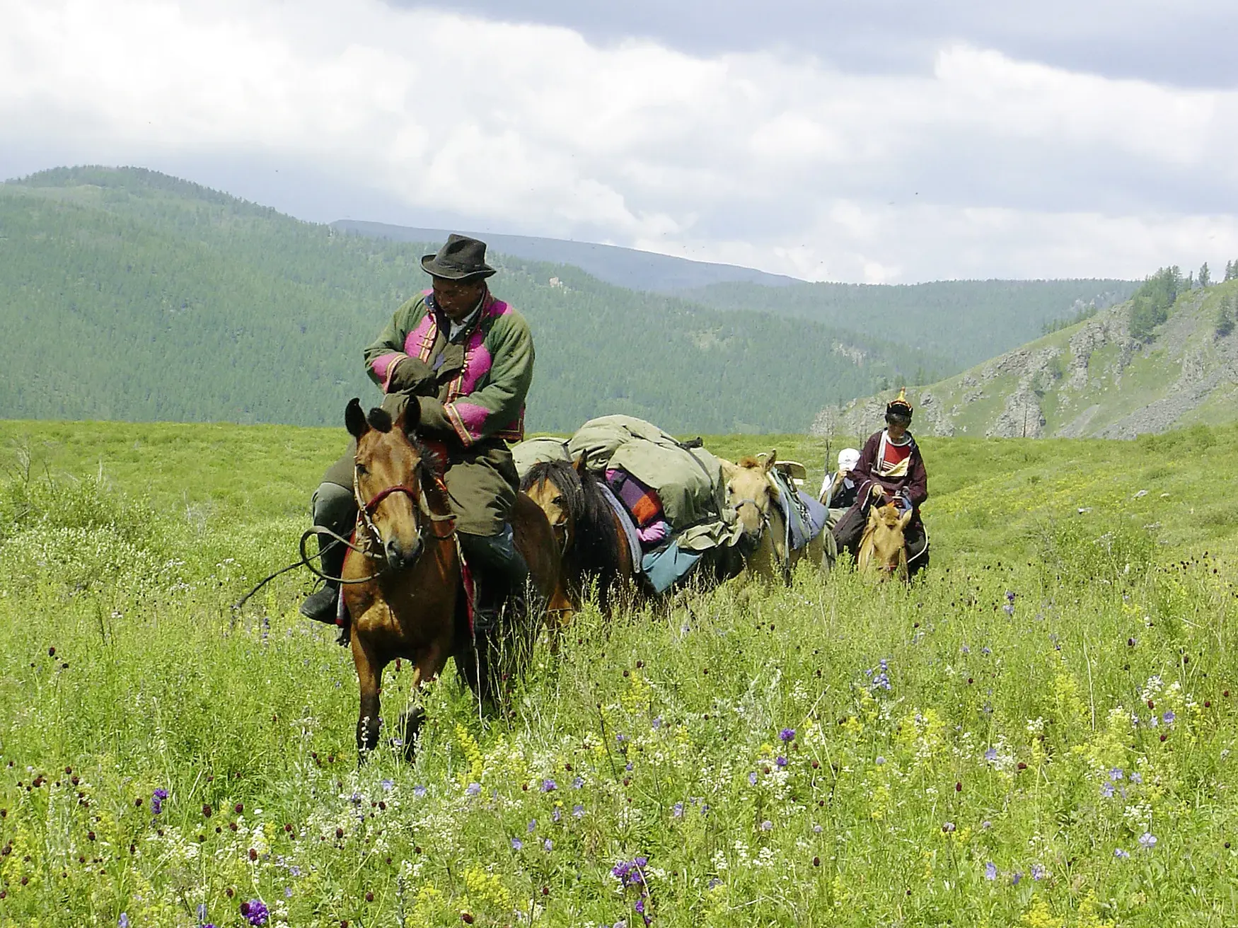 Ein Nomade auf einem Pferd führt eine Karawane mit Packtieren durch die blühende Steppe im Khan Khentii-Nationalpark.