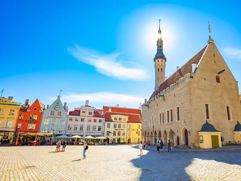 Sonnendurchfluteter Rathausplatz in Tallinn mit dem gotischen Rathaus und bunten, historischen Giebelhäusern.