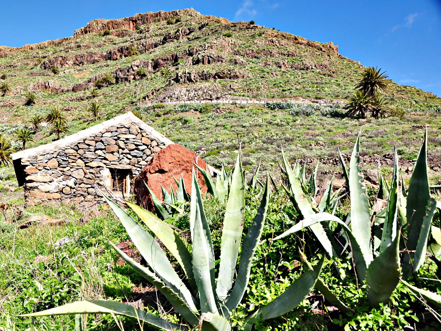 Alte Steinhütte inmitten von Agaven und Palmen in der zerklüfteten Vulkanlandschaft beim Wandern auf La Gomera.