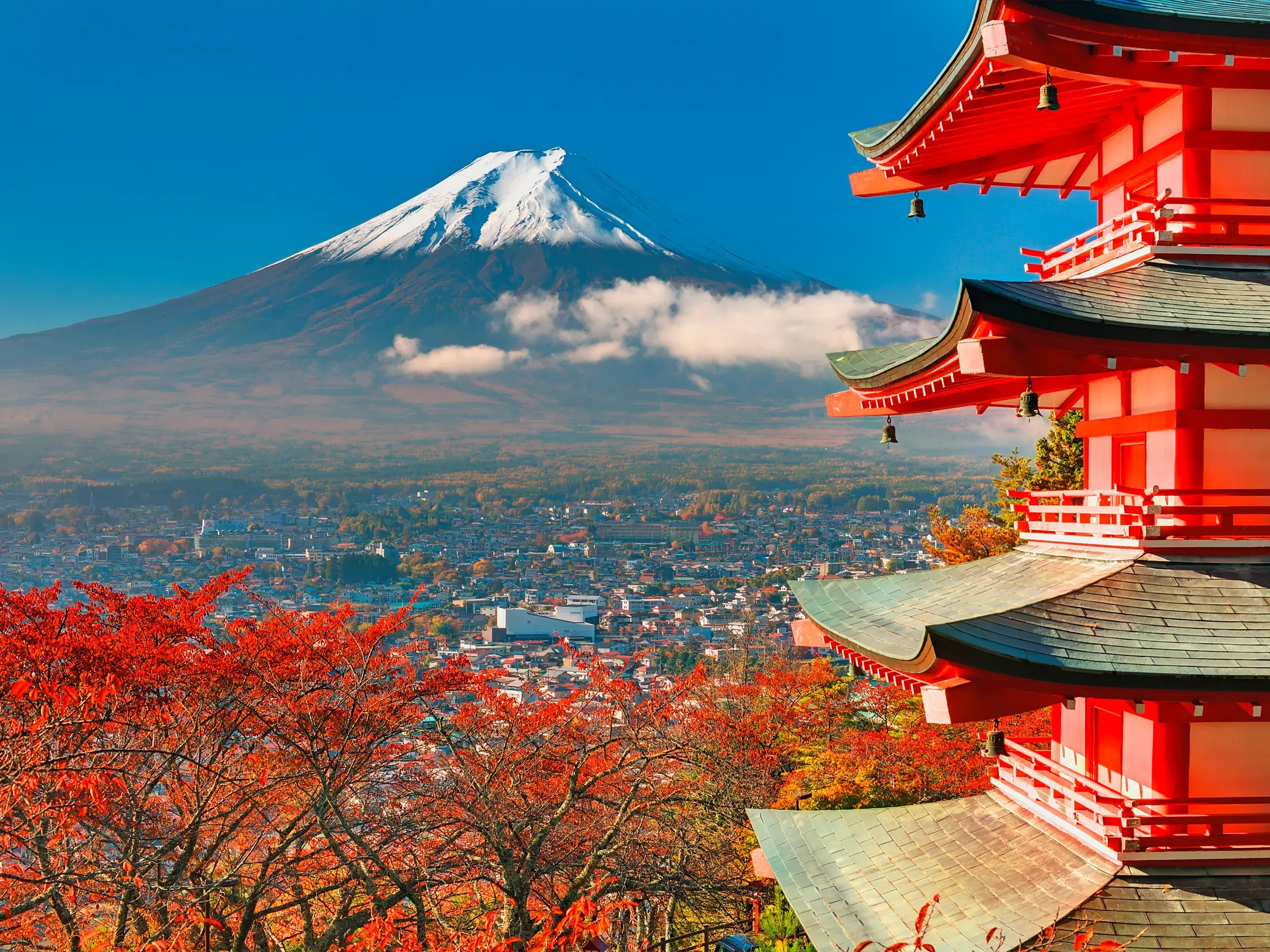 Logenblick von der roten Chureito-Pagode auf den schneebedeckten Berg Fuji vor leuchtend rotem Herbstlaub in Japan.