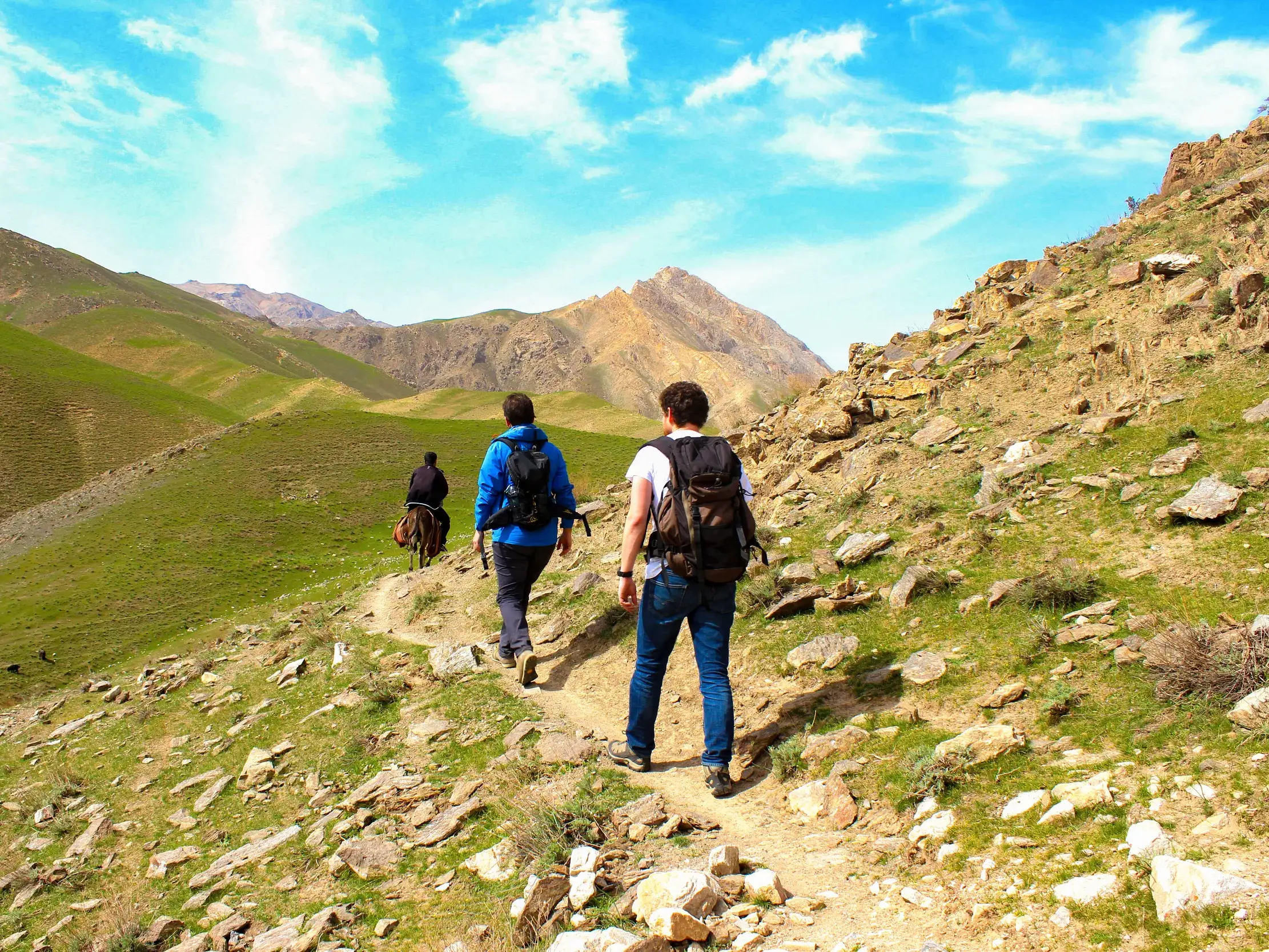 Hauser-Reisegruppe beim Trekking auf einem Bergpfad durch die weite, grüne Landschaft des Nuratau-Gebirges in Usbekistan.