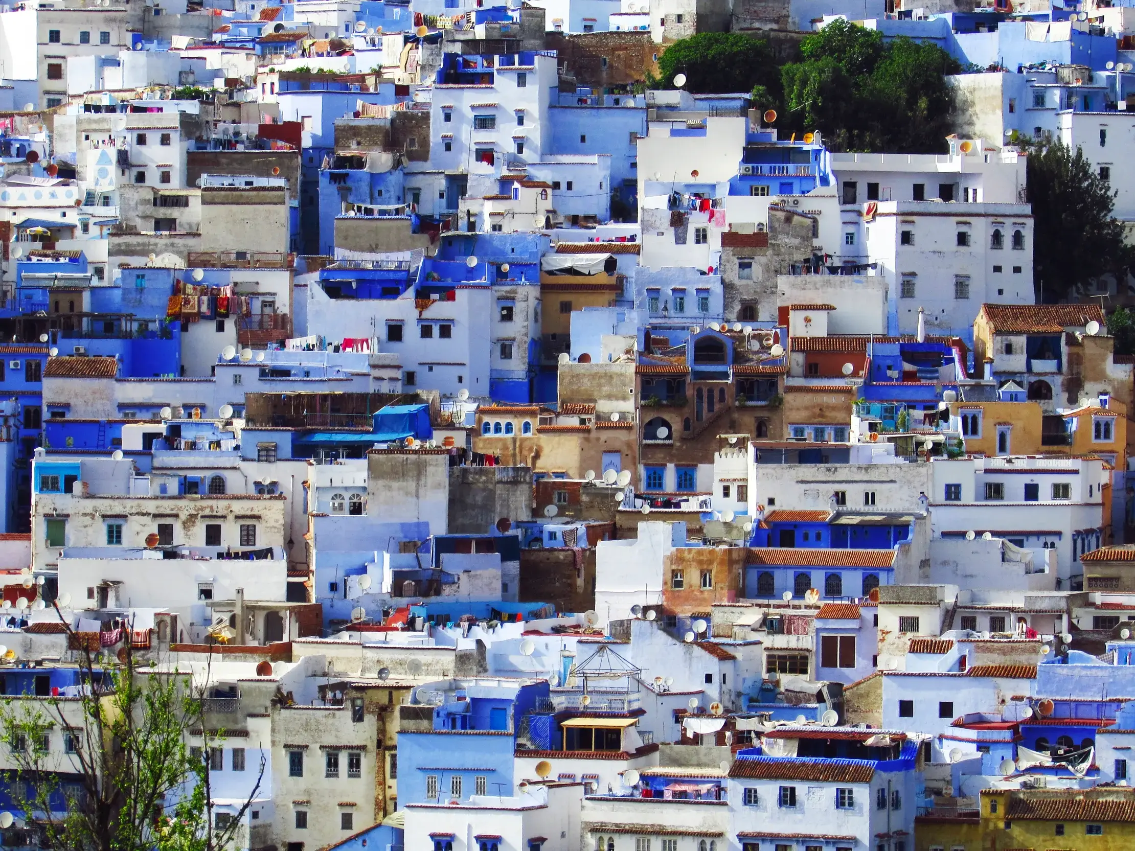 Dicht bebaute Medina von Chefchaouen, der blauen Perle im Rif-Gebirge Marokkos, mit blau und weiß getünchten Häusern.