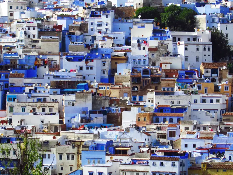 Dicht bebaute Medina von Chefchaouen, der blauen Perle im Rif-Gebirge Marokkos, mit blau und weiß getünchten Häusern.