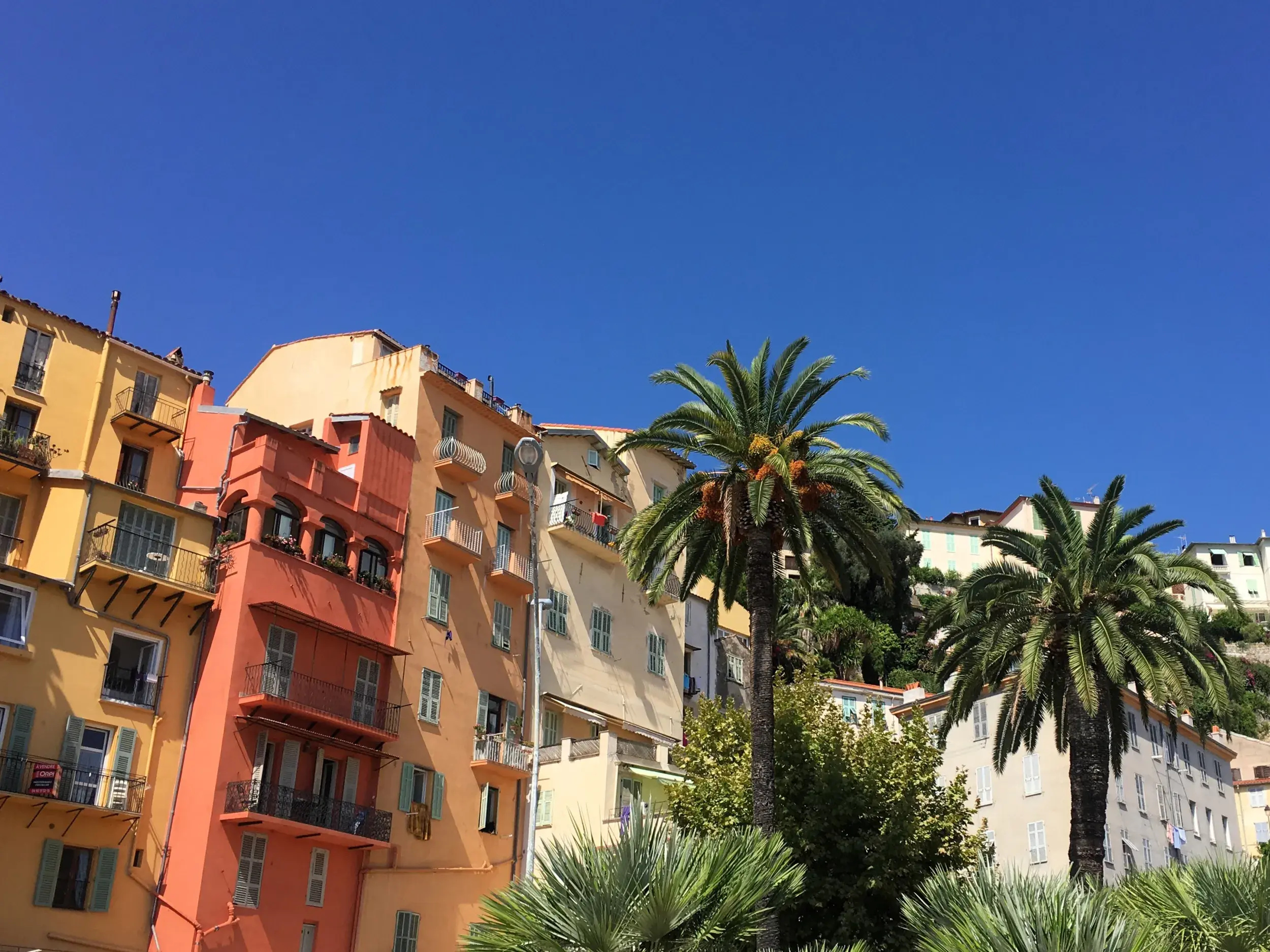 Bunte Häuserfassaden und hohe Palmen in der Altstadt von Menton an der Côte d'Azur unter strahlend blauem Himmel.
