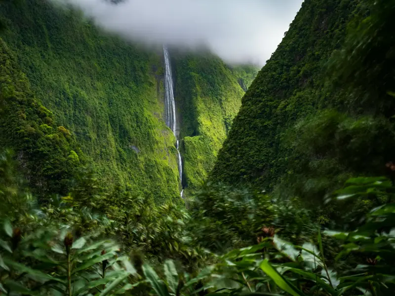 Blick durch tropische Vegetation auf den Trou de Fer Wasserfall, der auf La Réunion in eine üppig grüne Schlucht hinabfällt.