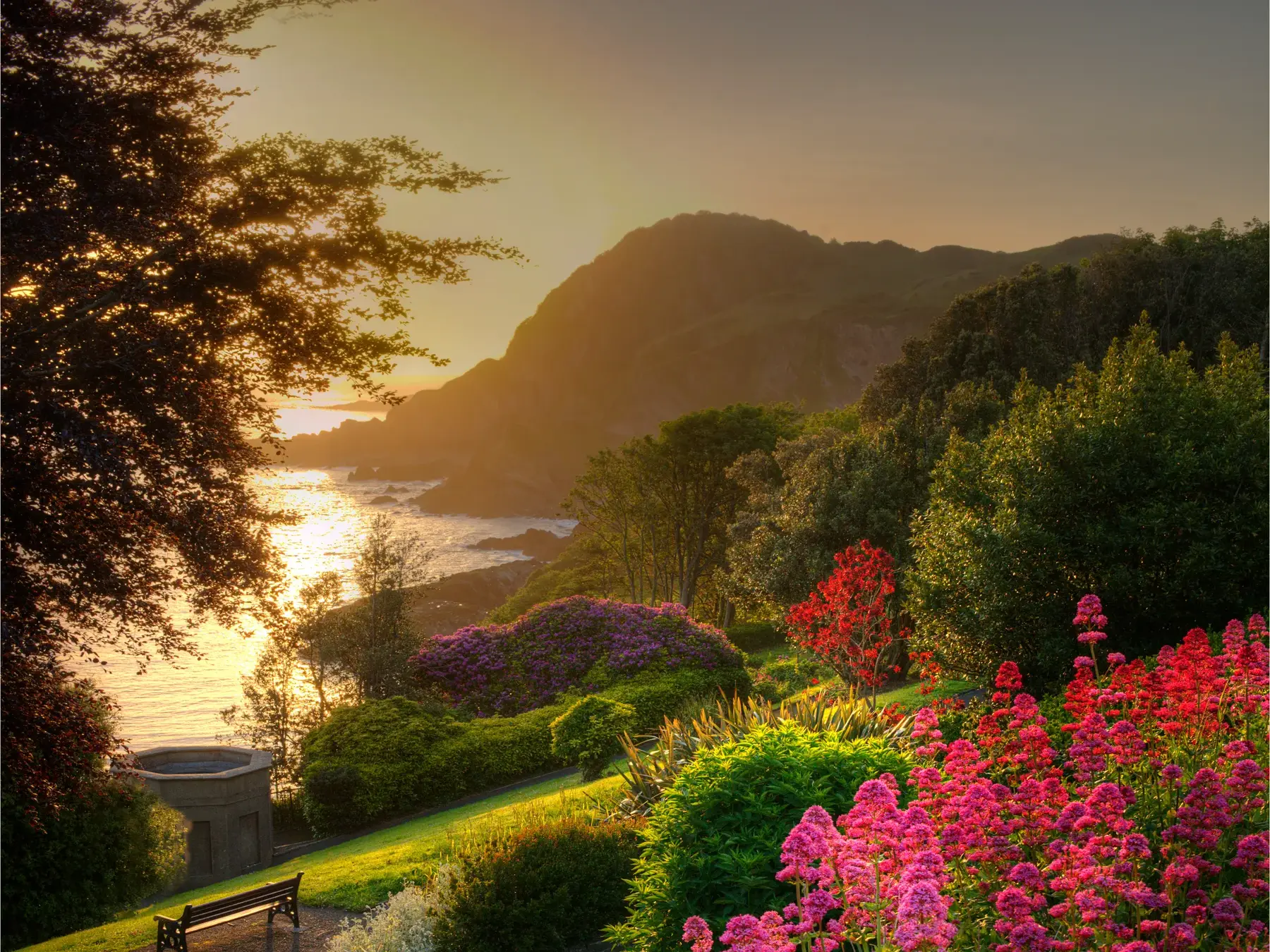 Blühender, subtropischer Garten in Devon mit Blick auf die felsige Küste und das Meer im goldenen Licht des Sonnenuntergangs.