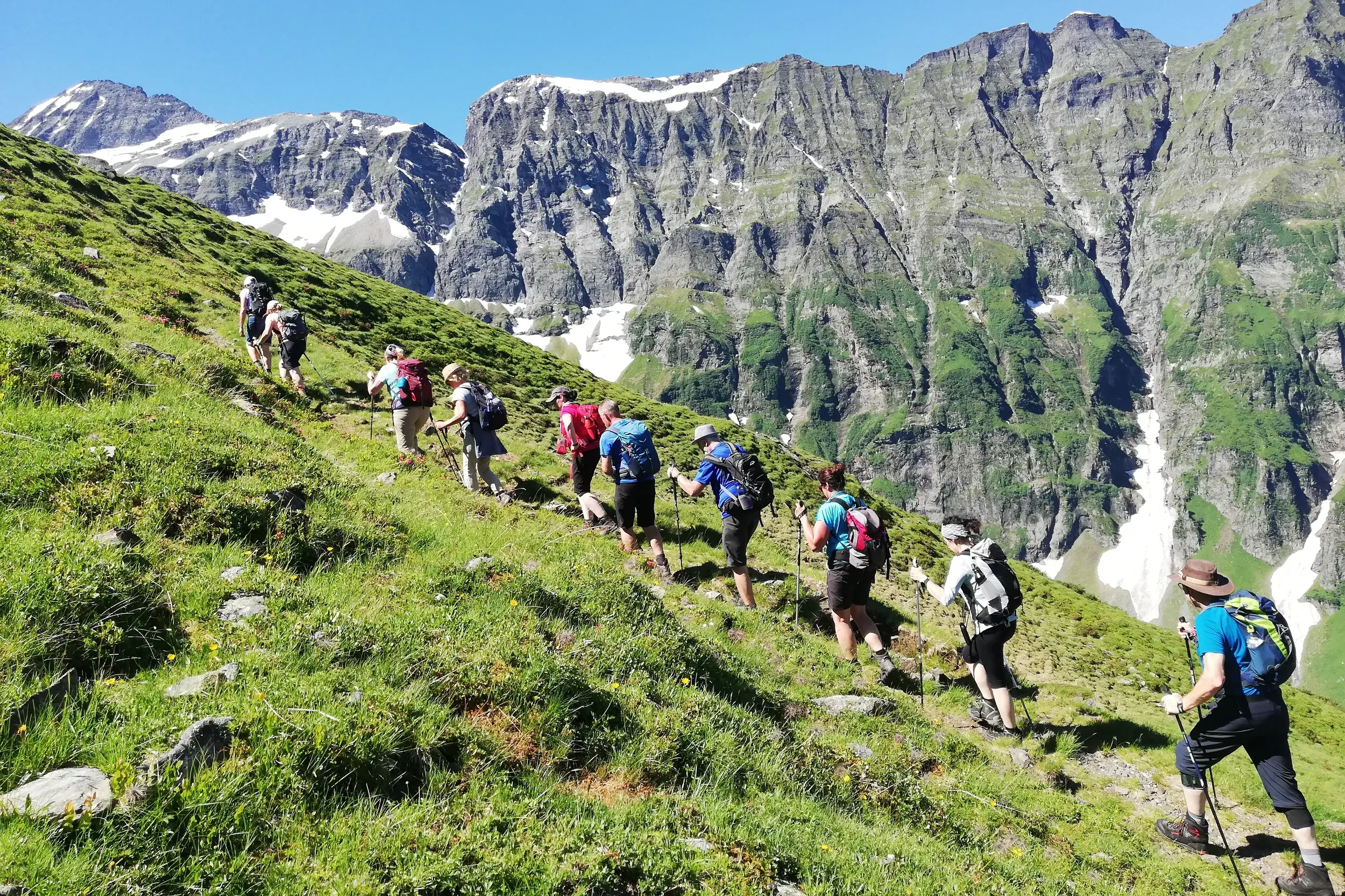 Eine Wandergruppe bei einer Alpenüberquerung auf einem steilen Wiesenpfad vor dem Bergpanorama des Nationalparks Hohe Tauern.