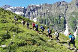 Eine Wandergruppe bei einer Alpenüberquerung auf einem steilen Wiesenpfad vor dem Bergpanorama des Nationalparks Hohe Tauern.