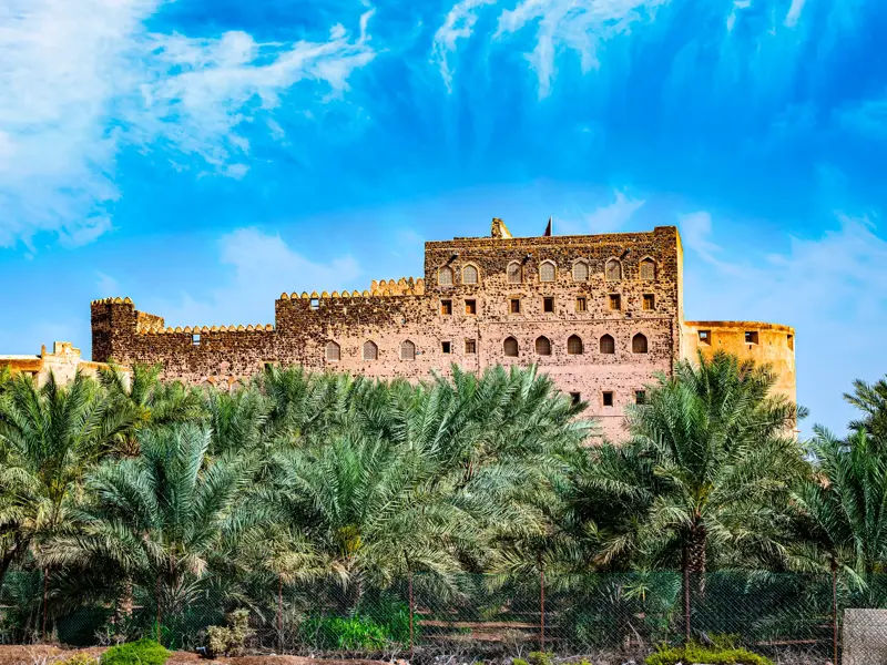 Die historische Festung Jabrin im Oman erhebt sich hinter grünen Palmenwipfeln unter einem strahlend blauen Himmel.