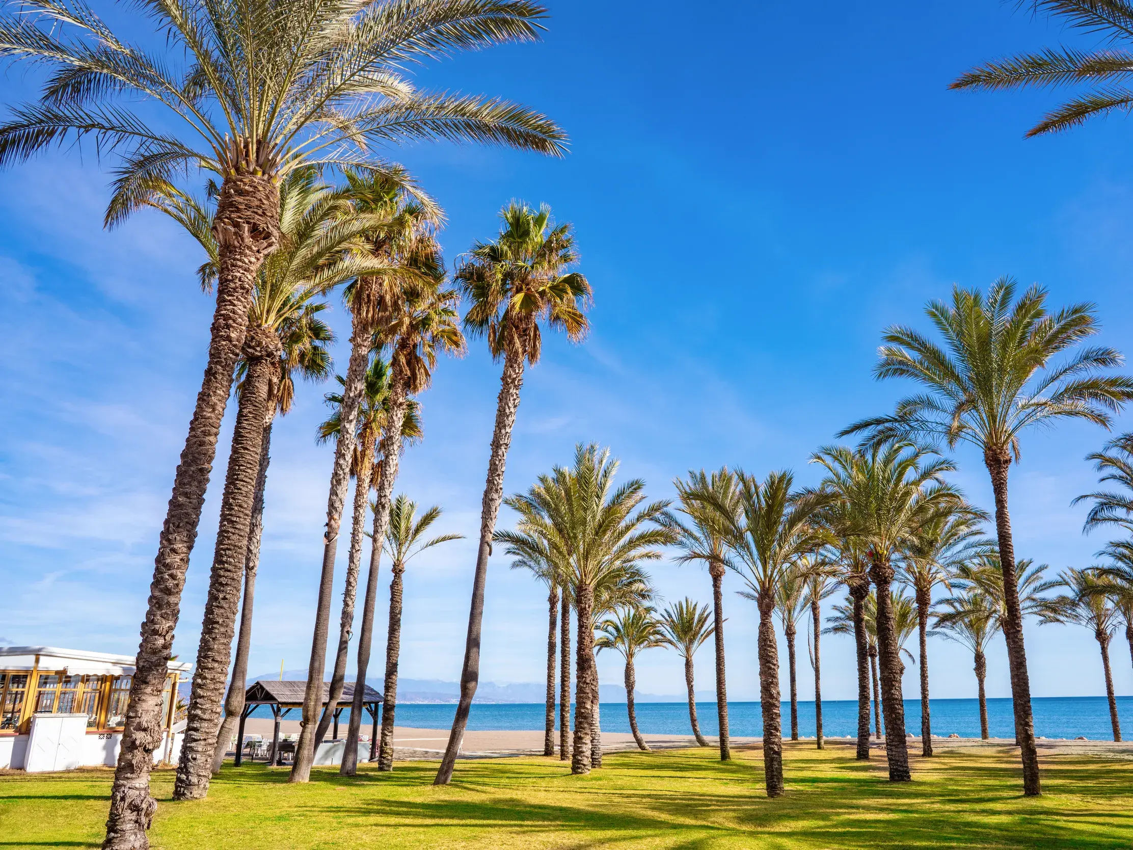 Eine grüne Palmenoase am Sandstrand der andalusischen Sonnenküste bei Málaga mit Blick auf das weite, blaue Mittelmeer.