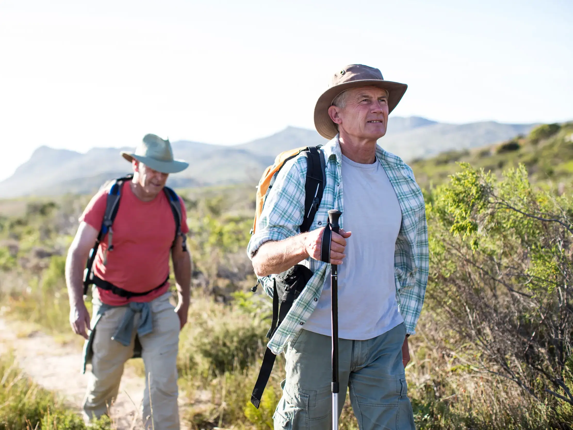 Zwei Männer mit Wander-Ausrüstung auf einer Wanderreise durch die sonnige Berglandschaft der Südkarpaten in Rumänien.