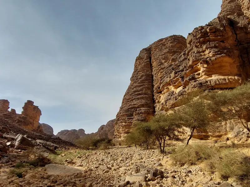 Hohe Sandsteinfelsen und Akazienbäume in einem steinigen Wadi im Tassili n'Ajjer Nationalpark in der algerischen Sahara.