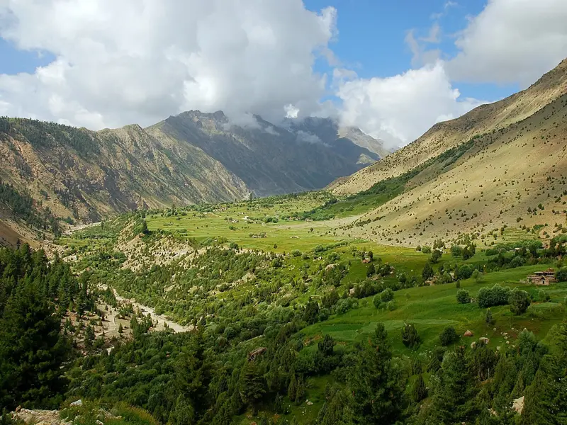 Weitläufiges, grünes Bergtal in Pakistan mit Nadelwäldern und kargen Hängen unterhalb der wolkenverhangenen Nanga Parbat Gipfel.