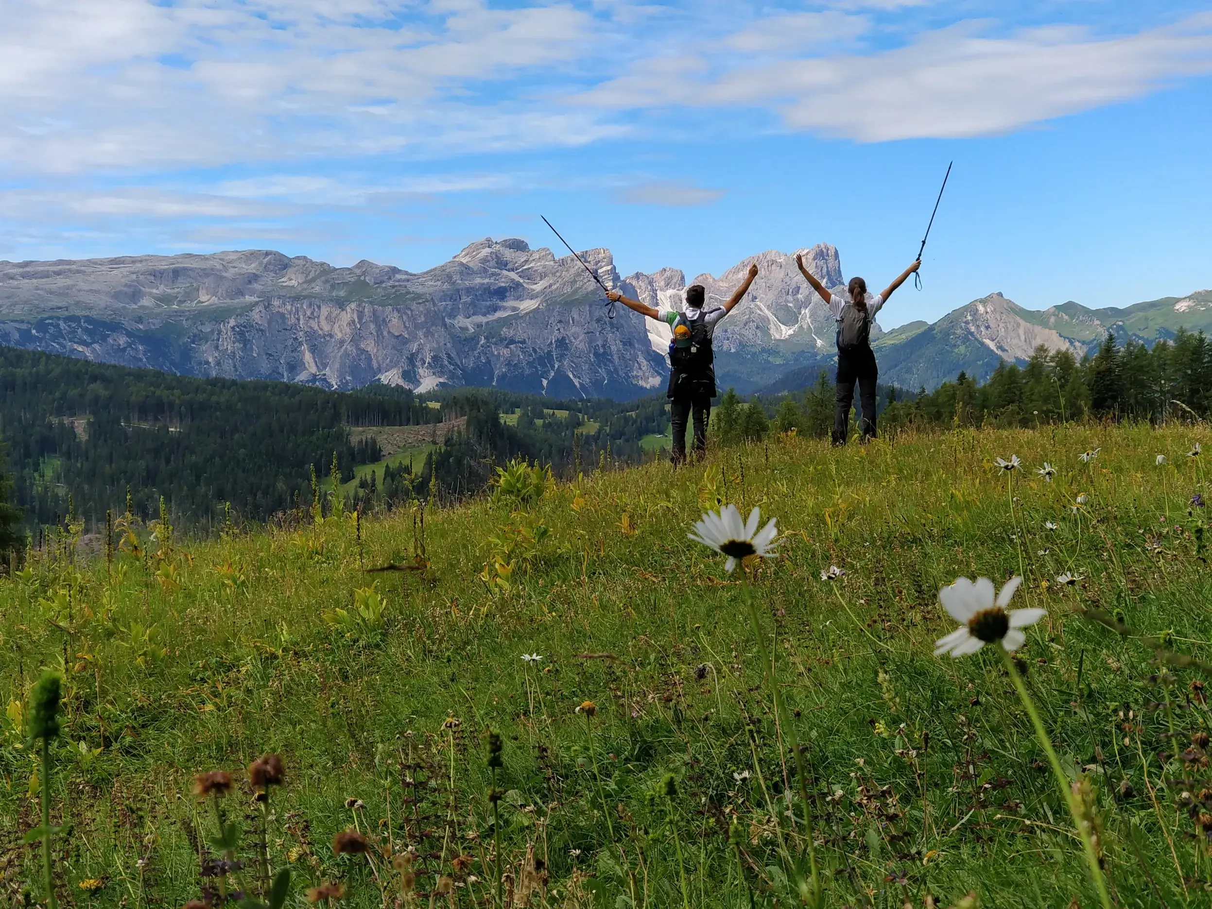 Zwei Wanderer jubeln mit Trekkingstöcken auf einer blühenden Almwiese vor dem beeindruckenden Bergpanorama der Südtiroler Dolomiten.