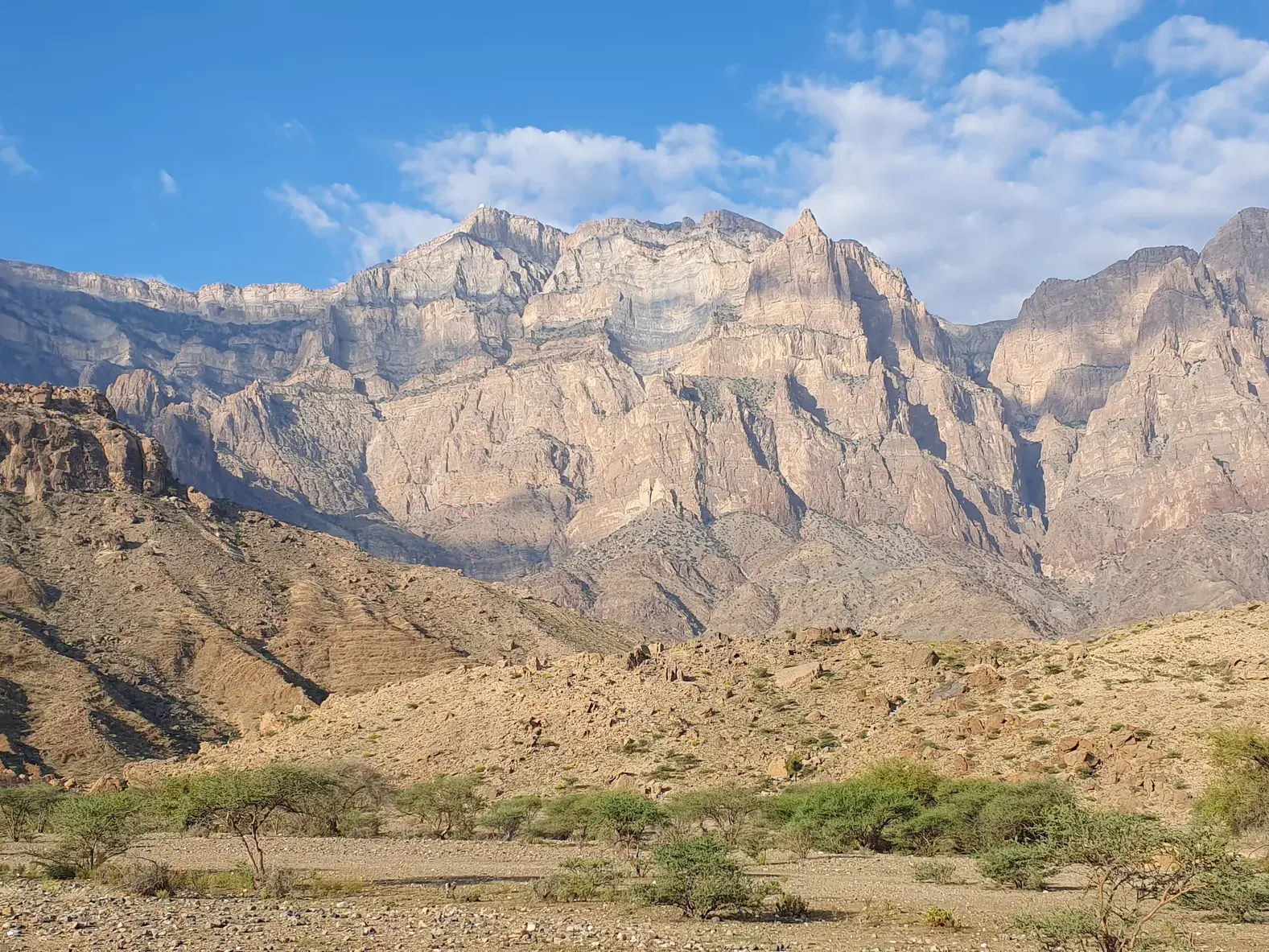 Schroffe Felswände des Jebel Shams im Hadschar-Gebirge im Oman mit grünen Akazienbäumen im steinigen Vordergrund.