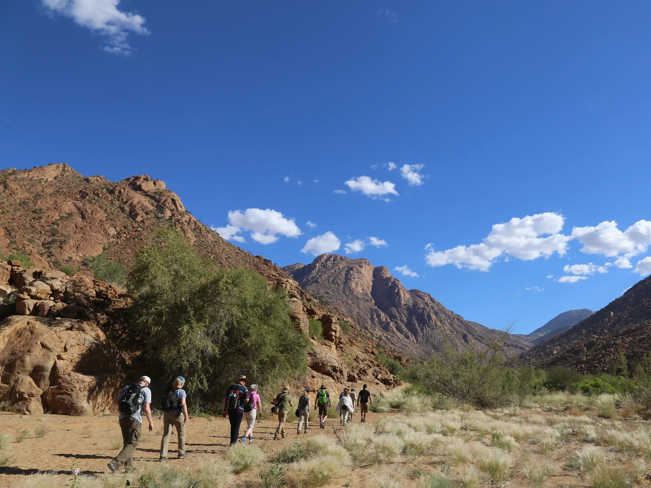 Eine Hauser-Wandergruppe auf Trekking-Tour durch ein weites, trockenes Tal im felsigen Erongogebirge in Namibia.