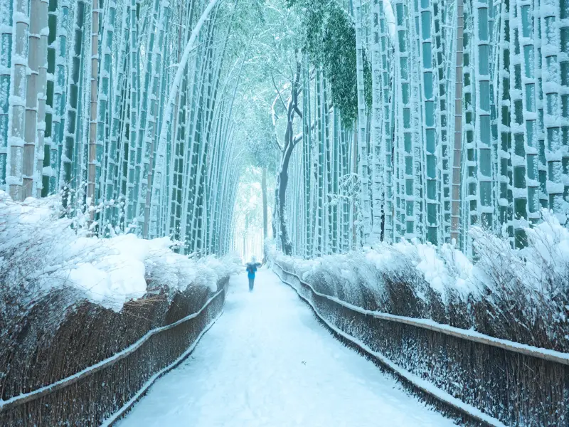 Ein Reisender wandert auf einem verschneiten Pfad durch den berühmten, smaragdgrünen Bambuswald von Arashiyama in Kyoto.
