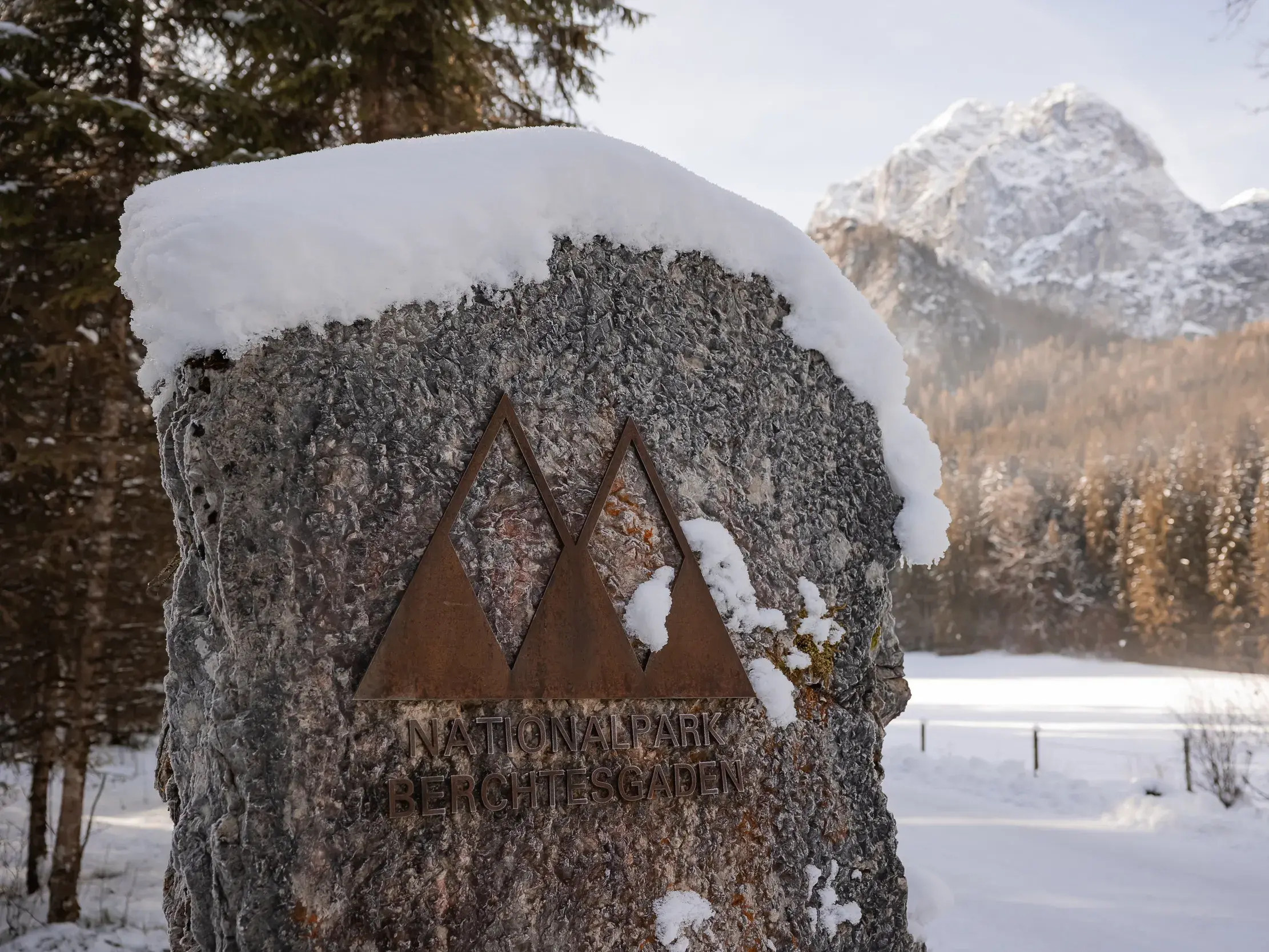 Schneebedeckter Fels mit dem Schild des Nationalpark Berchtesgaden im Winter vor der Kulisse der Berchtesgadener Alpen.