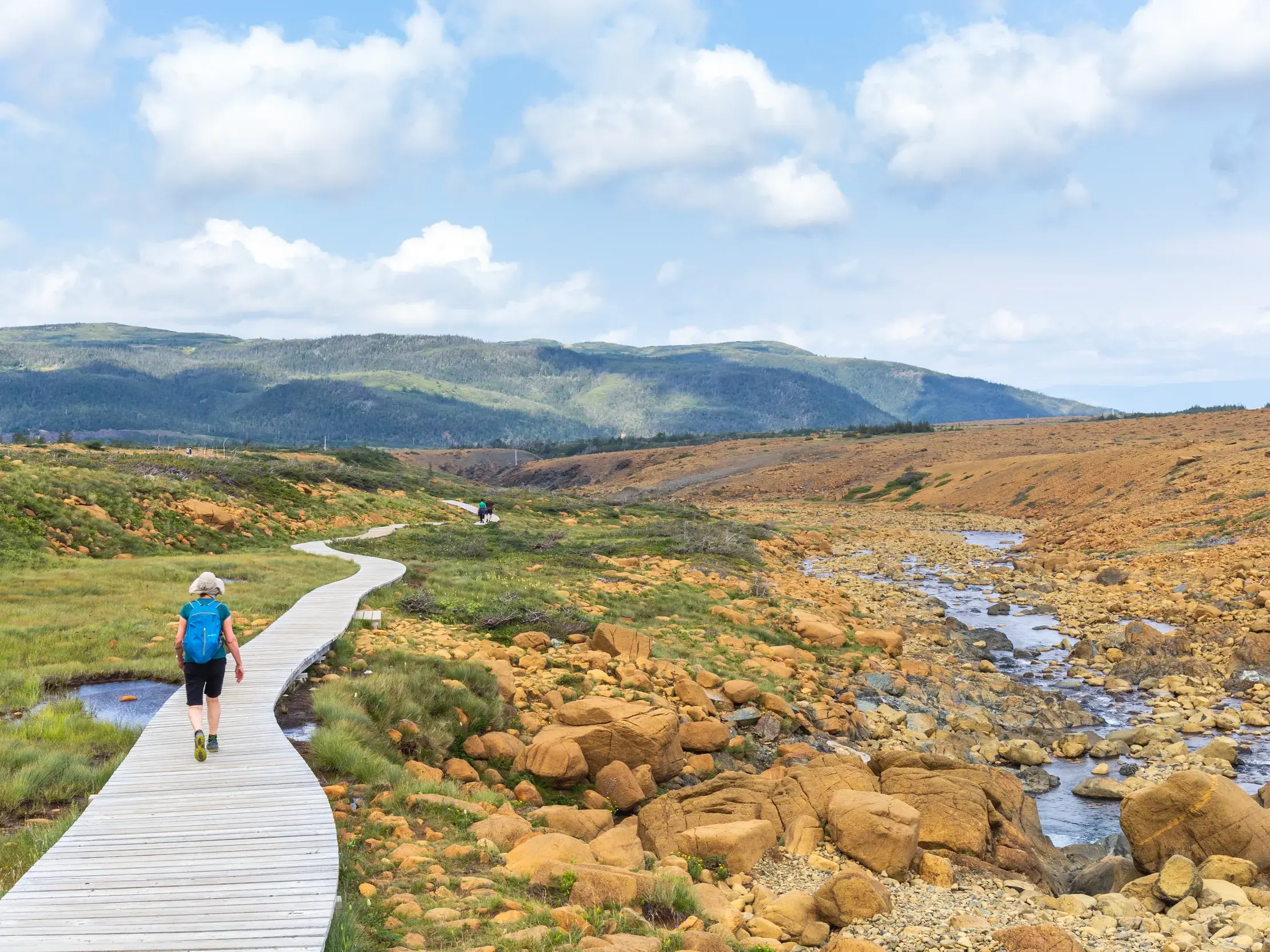 Wanderin auf einem Holzpfad durch die ockerfarbene Gesteinslandschaft der Tablelands im Gros-Morne-Nationalpark, Neufundland.