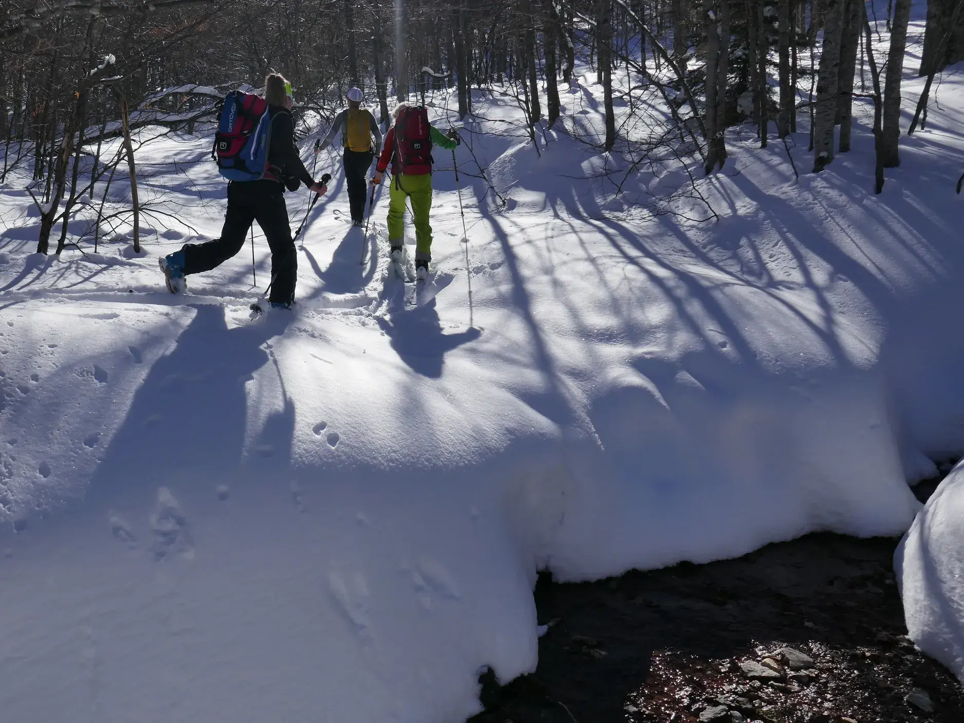 Eine kleine Gruppe von Skitourengehern durchquert bei Sonnenschein einen tief verschneiten, lichten Wald im Kosovo.