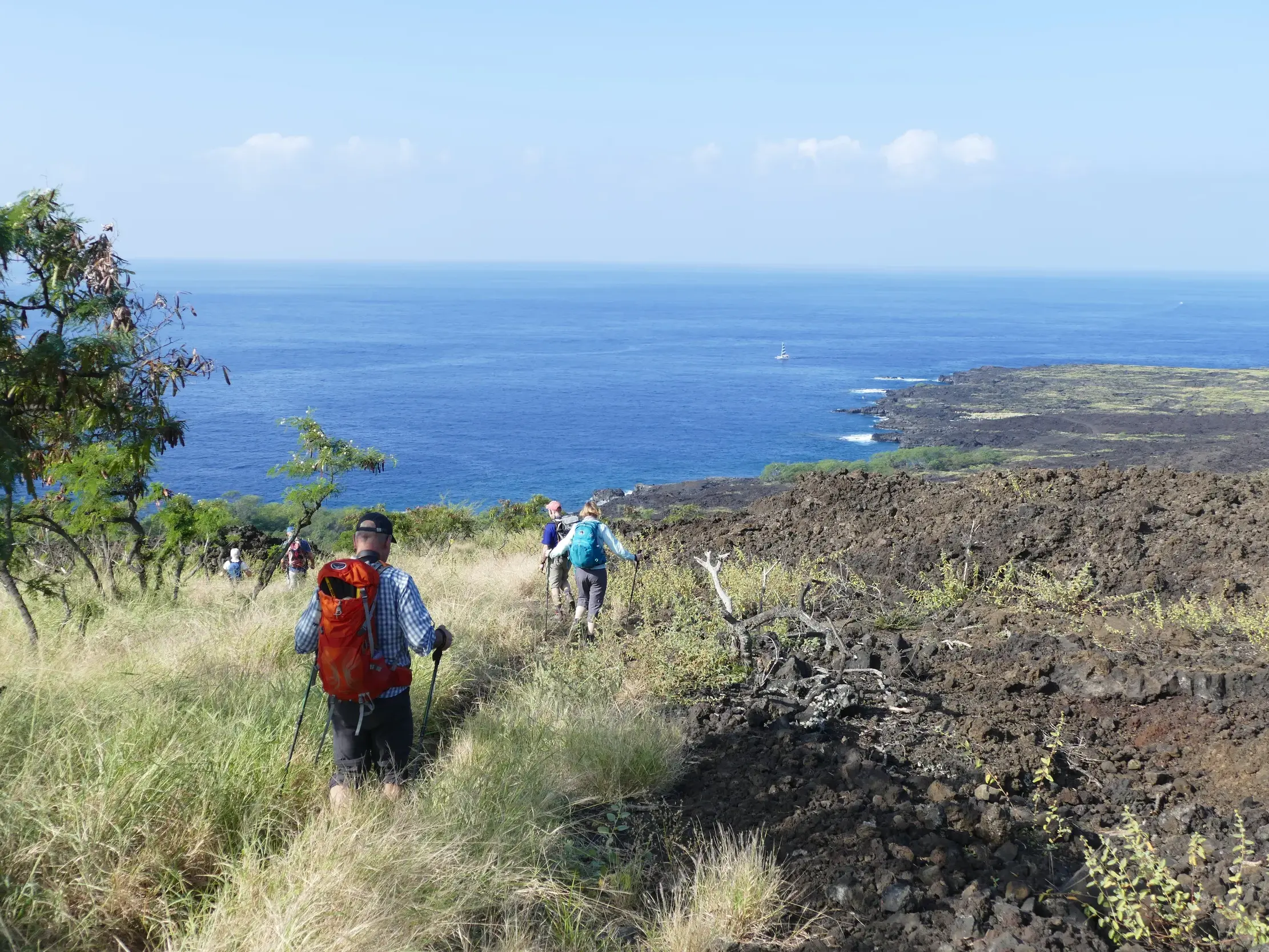 Wandergruppe auf einem Trekkingpfad an der Küste von Hawaii mit Blick über erkaltete Lavafelder auf den Pazifischen Ozean.