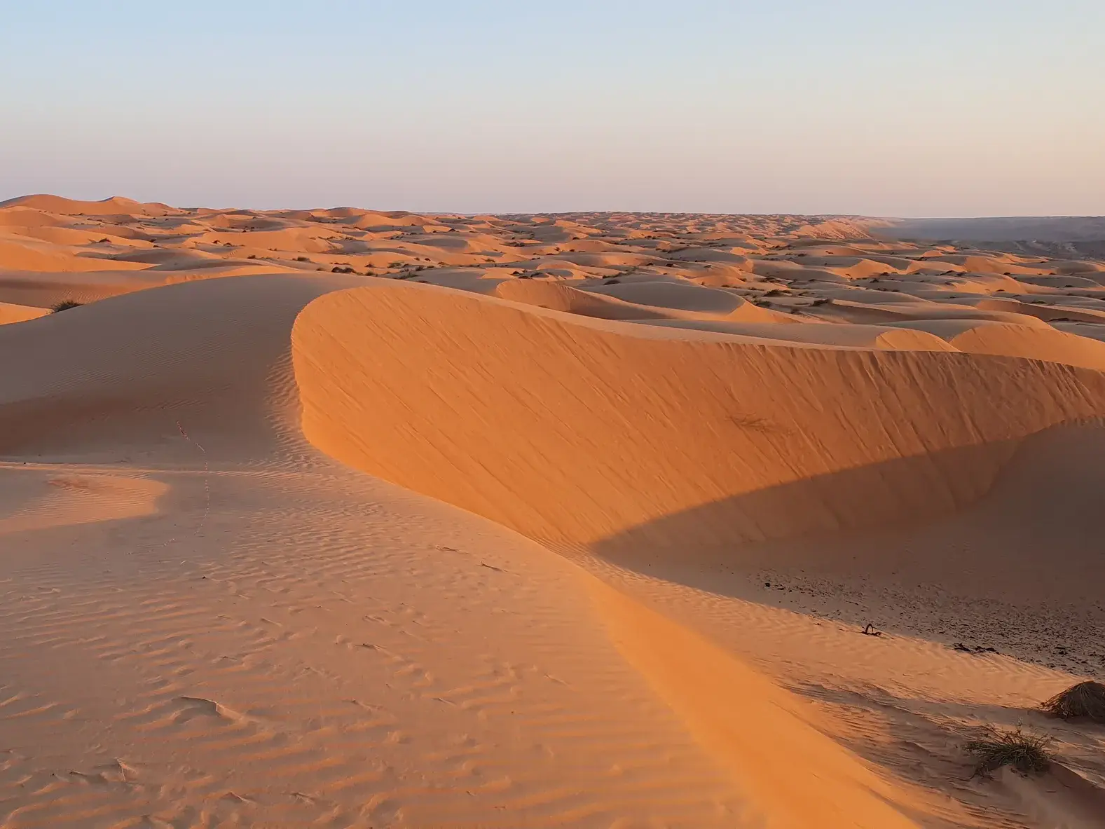 Endlose Dünen der Wahiba Wüste im Oman, die beim Trekking im goldenen Licht des Sonnenuntergangs erkundet werden.