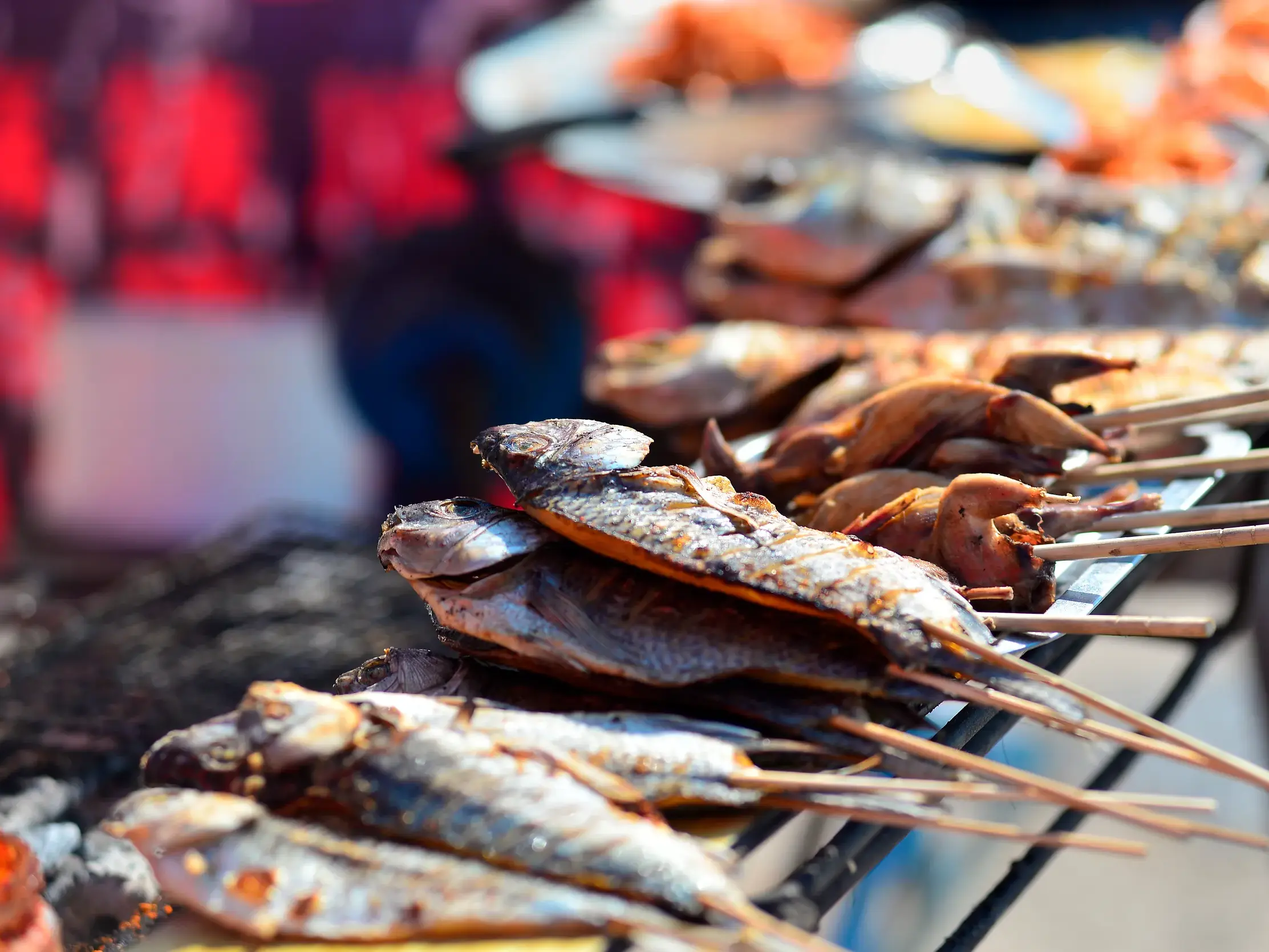 Frisch gegrillte Fische auf Holzspießen, eine kulinarische Spezialität auf einer Studienreise in Norwegen.