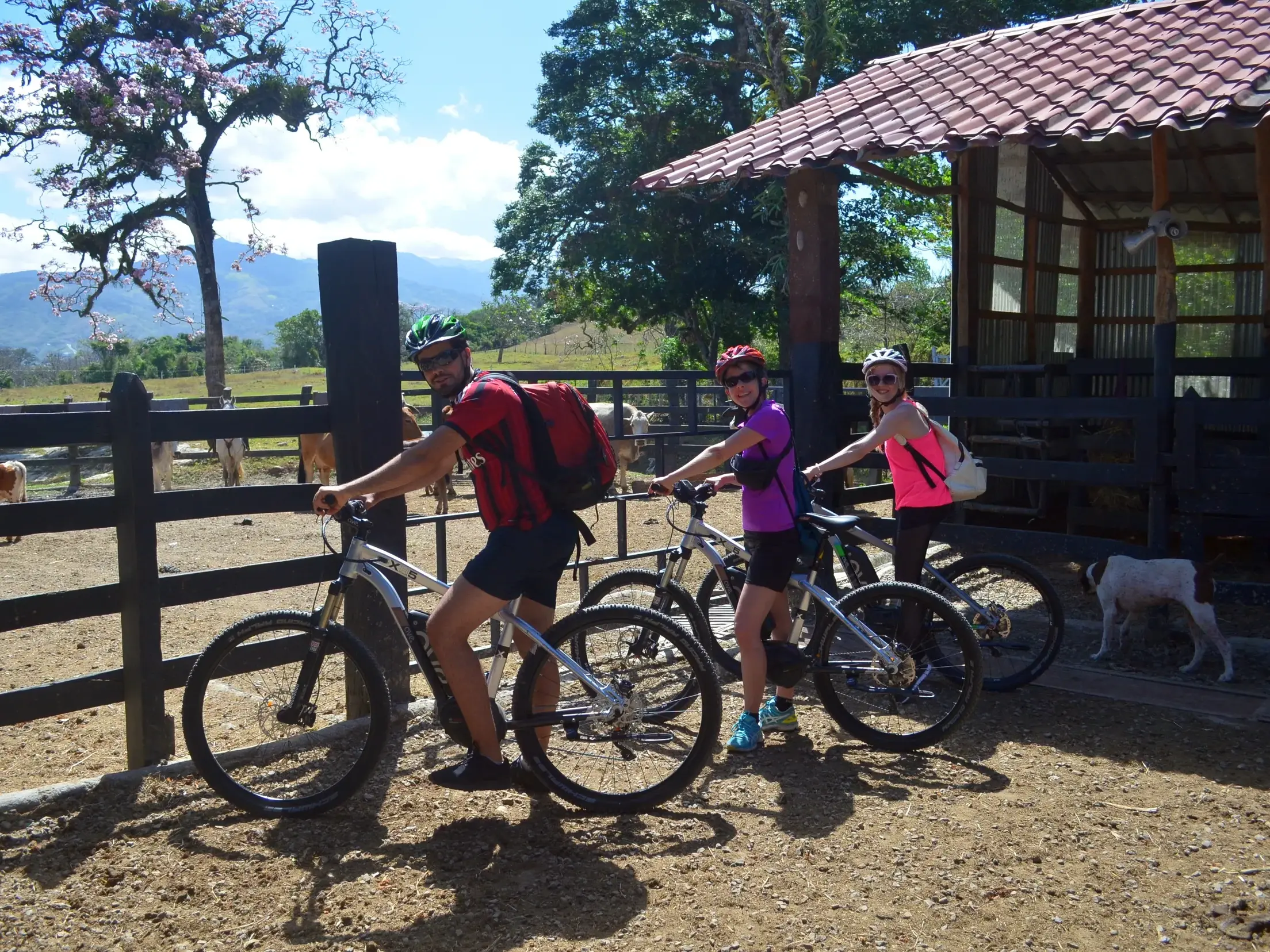 Drei Mountainbiker einer geführten Rundreise lächeln bei einer Pause an einer Weide in der ländlichen Hügellandschaft Costa Ricas.
