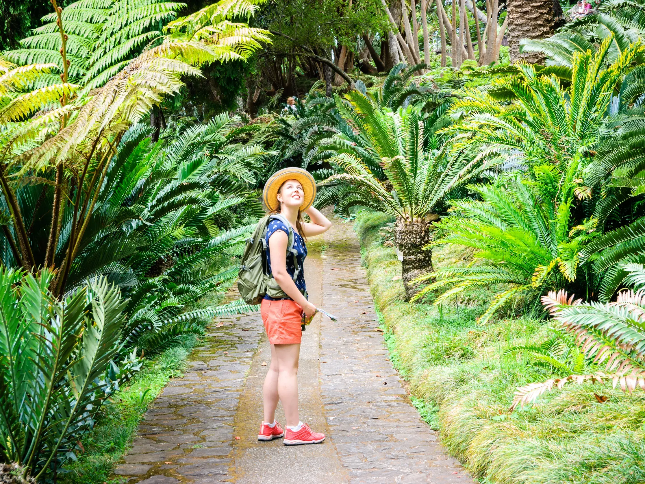 Junge Travellerin mit Rucksack und Strohhut auf einem Wanderweg, umgeben von üppigen Farnen und Palmen auf Madeira.
