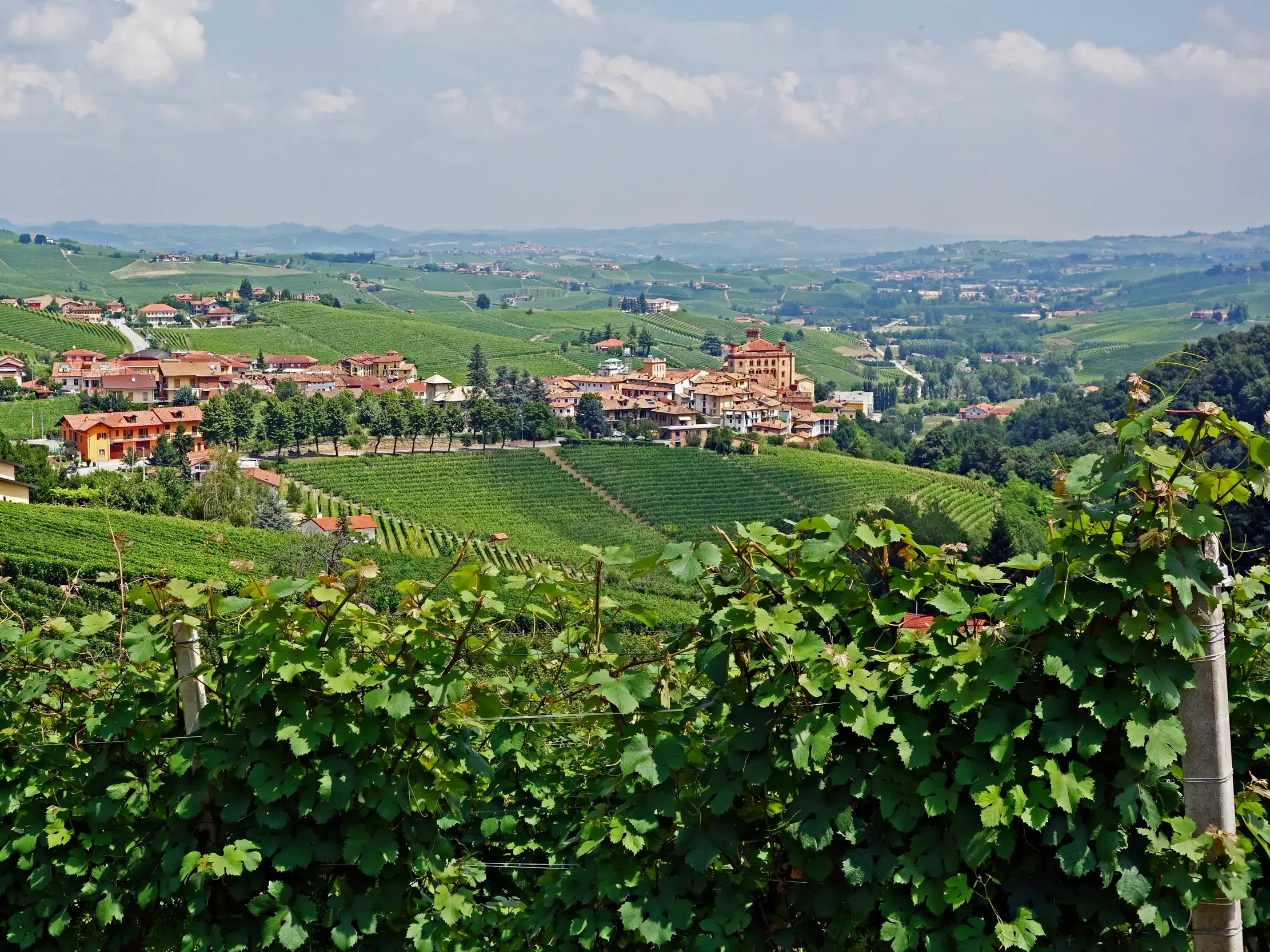 Panoramablick über die grünen Weinberge der Langhe mit dem Dorf Barolo, aufgenommen während einer Trekkingreise im Piemont.