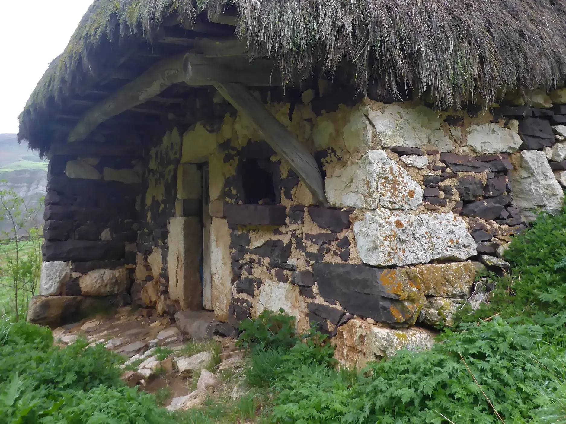 Traditionelle Teito-Hütte aus grobem Naturstein und mit Reetdach im grünen Naturpark Somiedo auf einer Wanderung in Asturien.