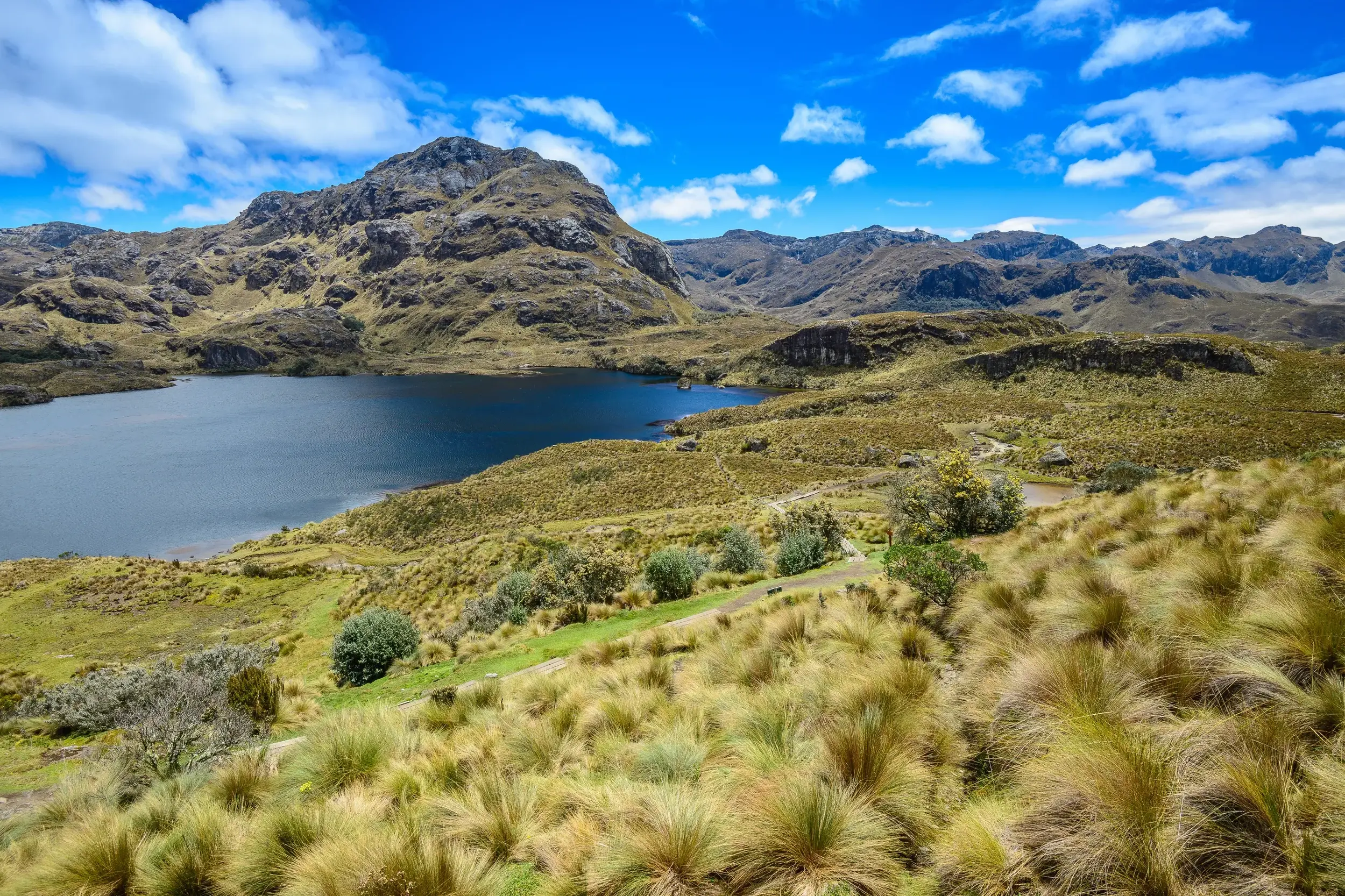 Ein Wanderweg führt durch die goldgelbe Graslandschaft an einem See vorbei im Cajas-Nationalpark in den ecuadorianischen Anden.