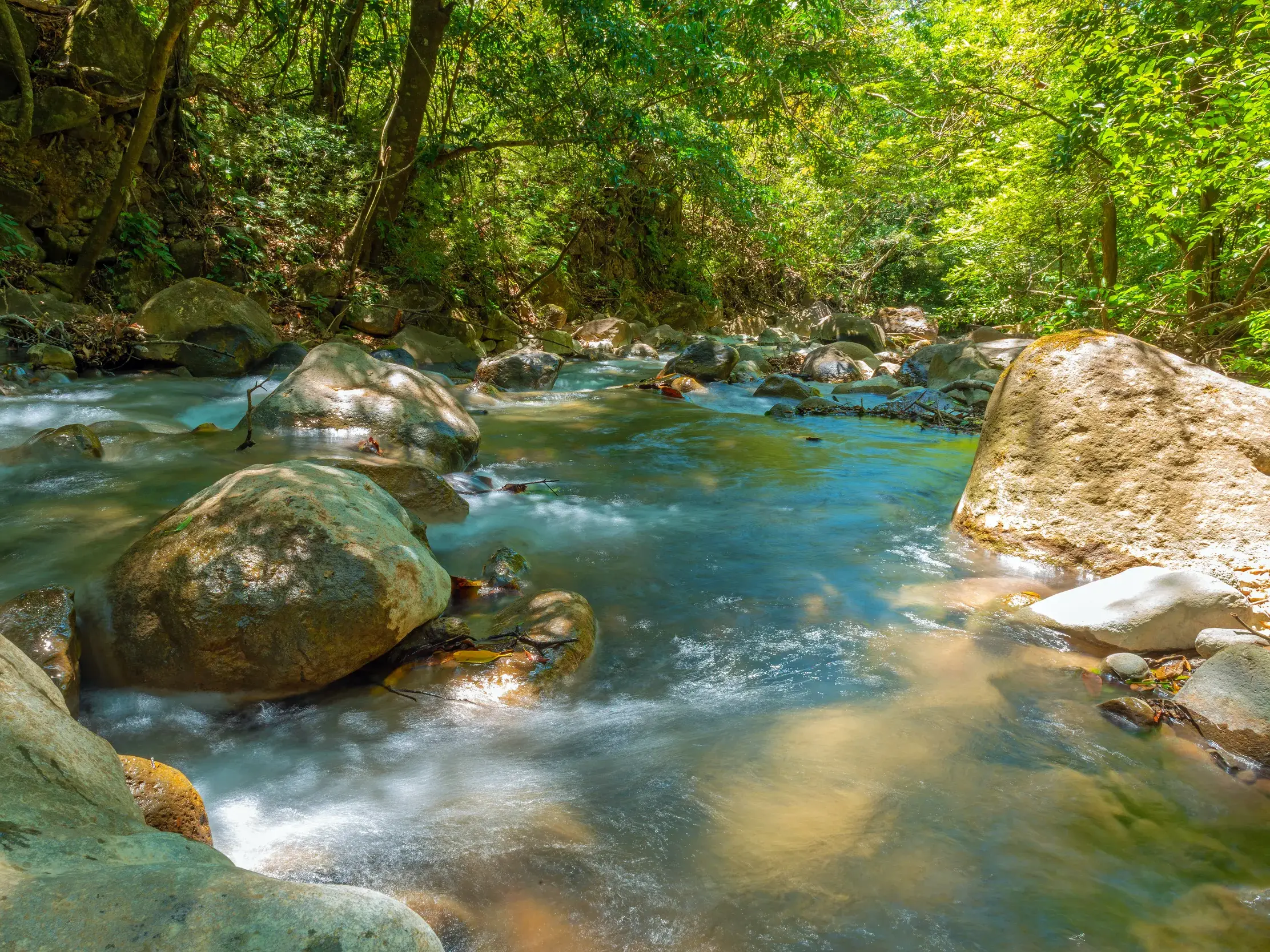 Ein klarer Fluss fließt über Felsen durch den dichten, sonnendurchfluteten Regenwald in einem Nationalpark in Costa Rica.