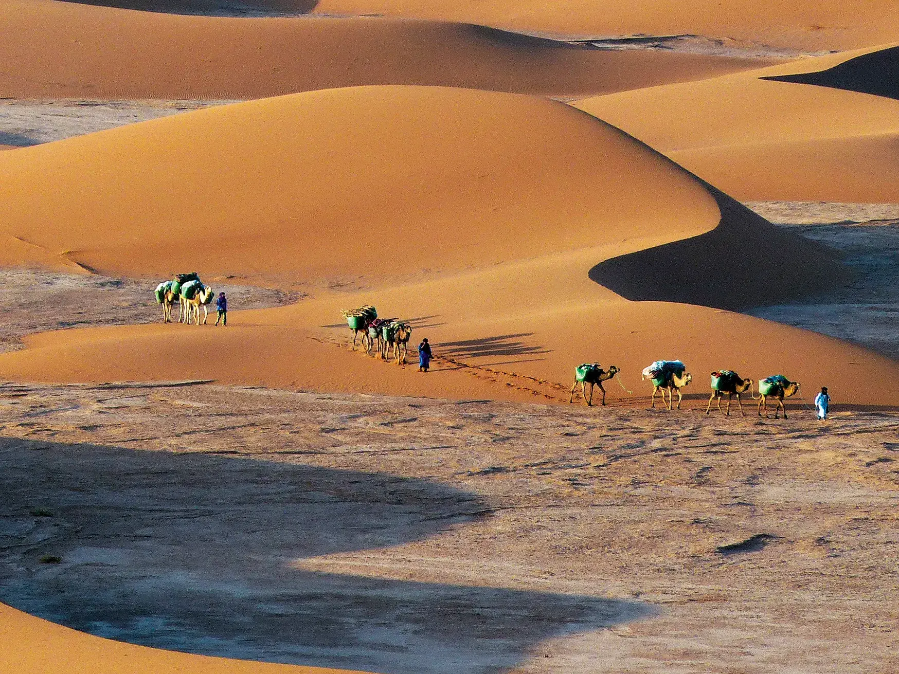 Beduinenführer leiten eine Kamelkarawane beim Trekking durch die weiten Sanddünen der Erg Chegaga in der Sahara.