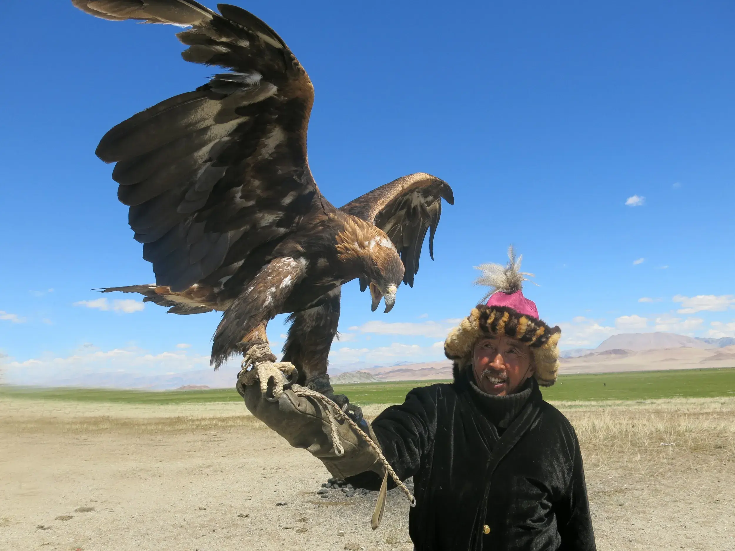 Ein kasachischer Adlerjäger in traditioneller Tracht präsentiert stolz seinen Steinadler in der weiten Steppe der Westmongolei.