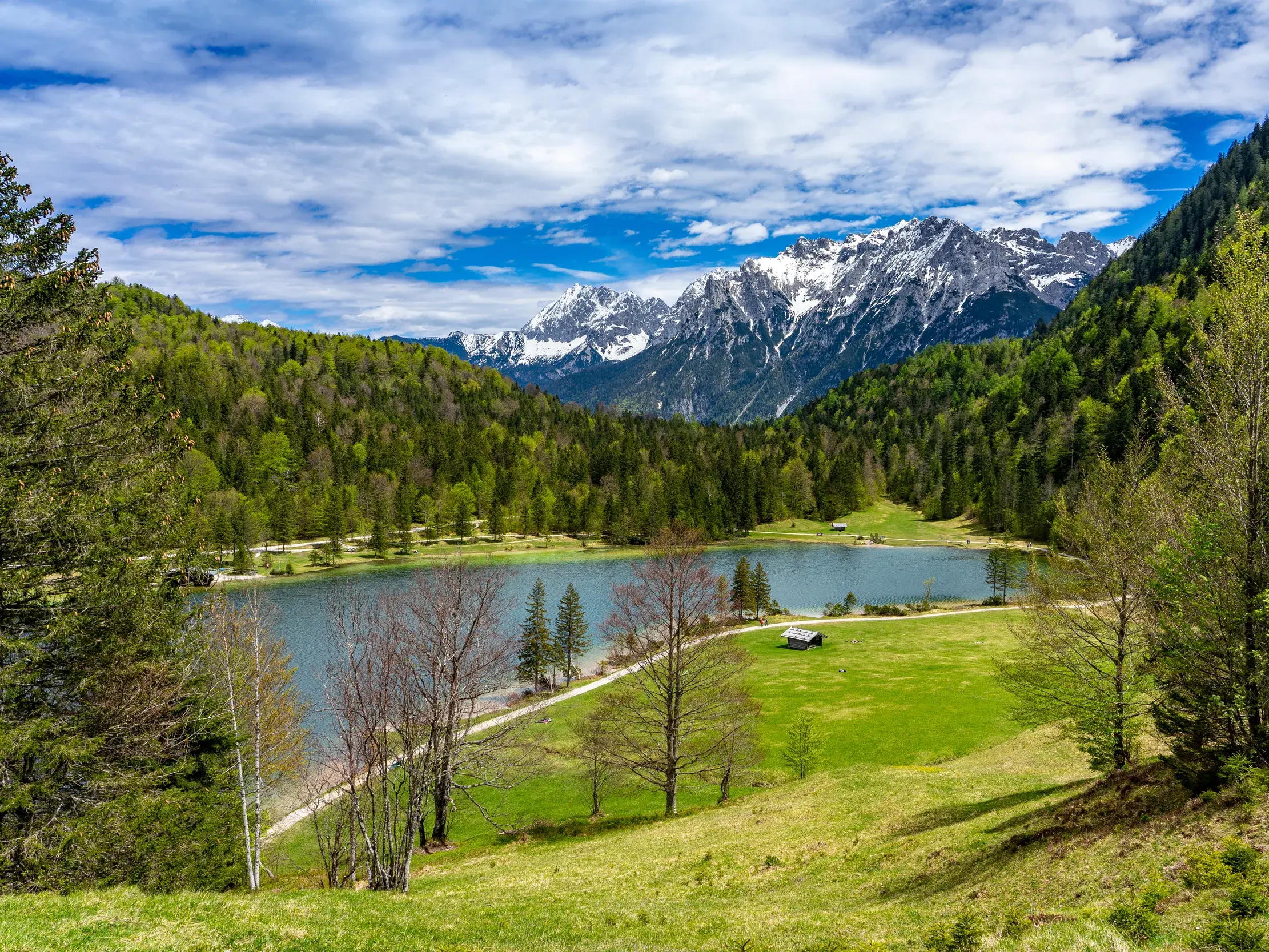 Der malerische Ferchensee in Bayern, umrahmt von saftigen Wiesen und Wäldern, mit den schneebedeckten Gipfeln des Karwendelgebirges.