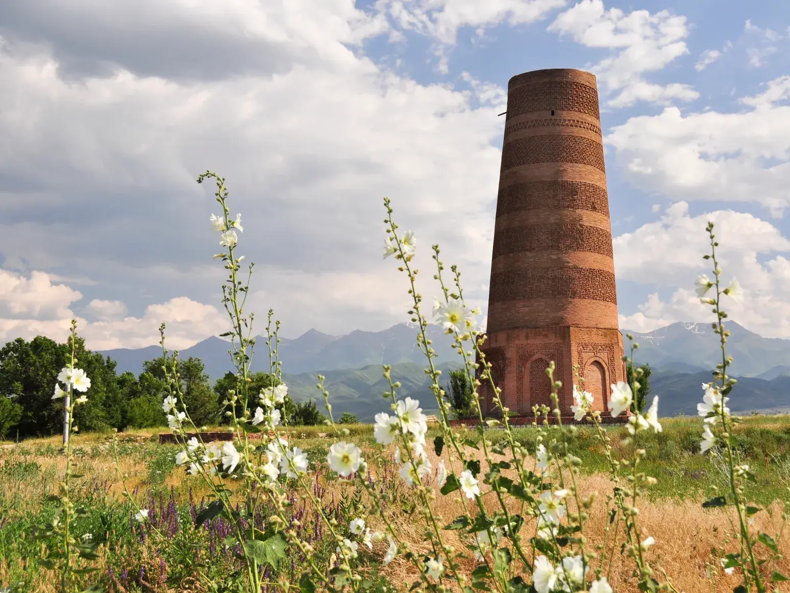 Historisches Burana-Minarett in Tokmok auf einer blühenden Wiese vor der Gebirgskulisse des Tian Shan in Kirgistan.