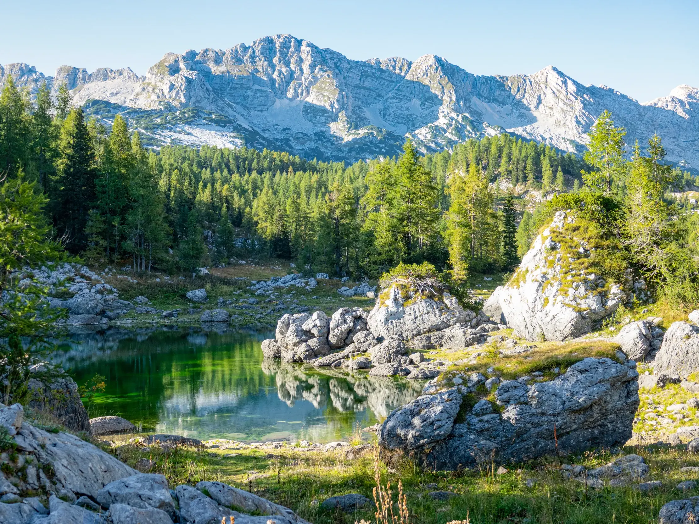 Ein smaragdgrüner Bergsee umgeben von Felsen und Wäldern vor der Kulisse der Julischen Alpen im Triglav-Nationalpark.