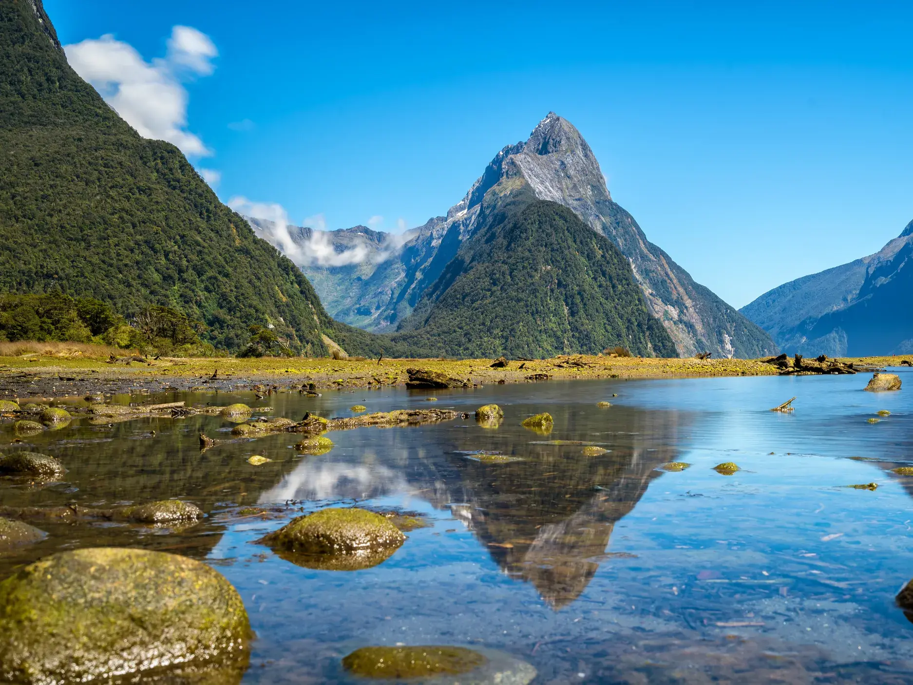 Der majestätische Mitre Peak spiegelt sich im ruhigen Wasser des Milford Sound im Fjordland Nationalpark Neuseelands.