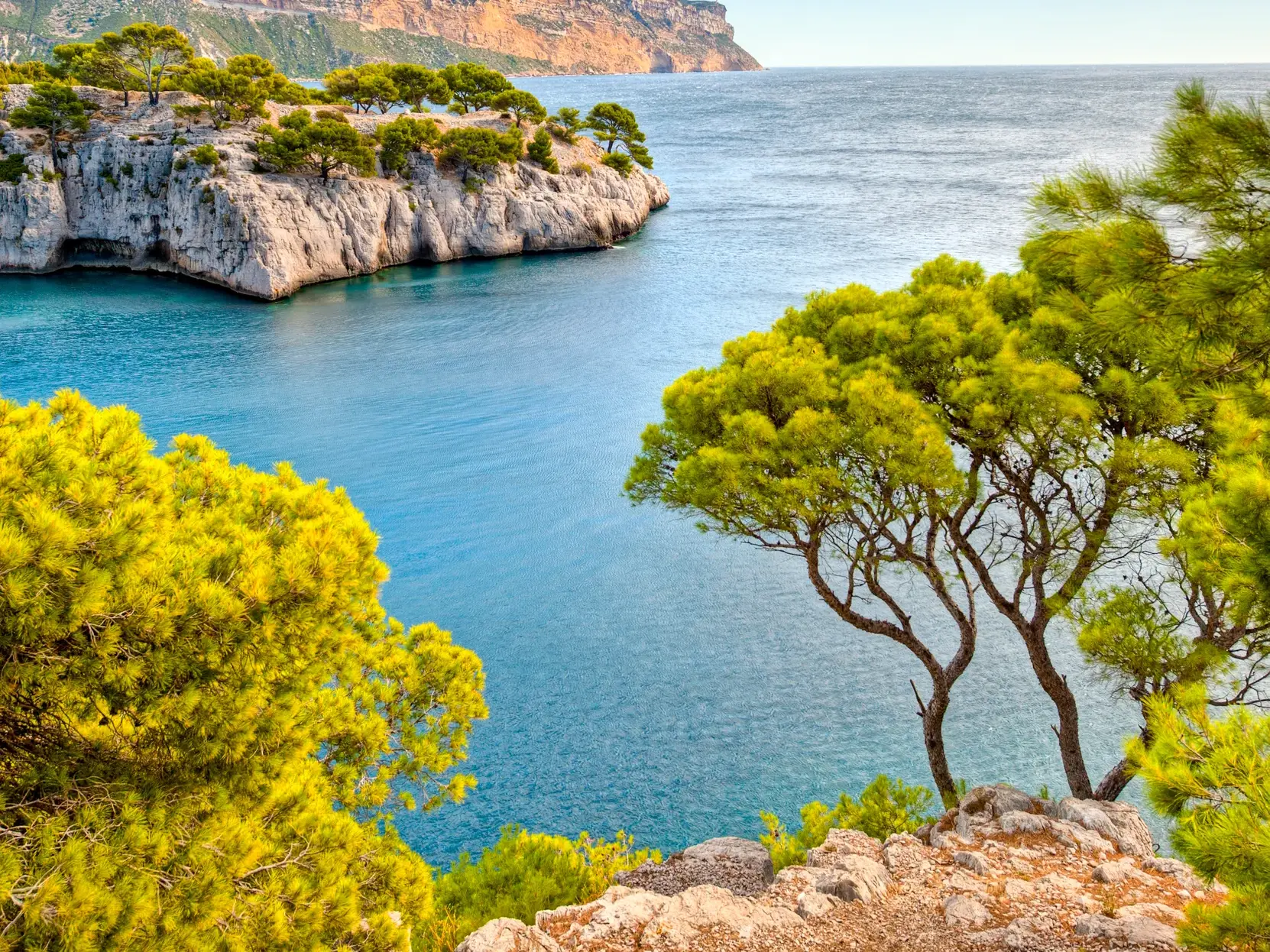 Aussicht über grüne Pinien auf eine der schroffen Felsenbuchten der Calanques bei Cassis mit dem azurblauen Mittelmeer.