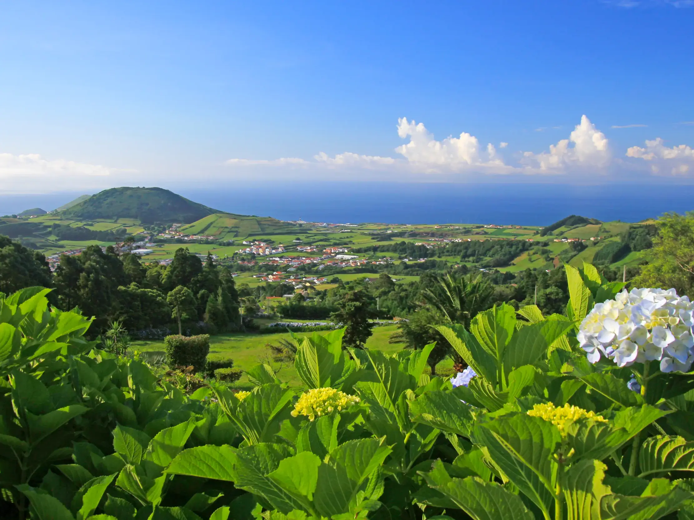 Panoramablick über die grüne Vulkanlandschaft auf São Miguel mit Hortensien, einem Vulkankegel und dem weiten Atlantik.