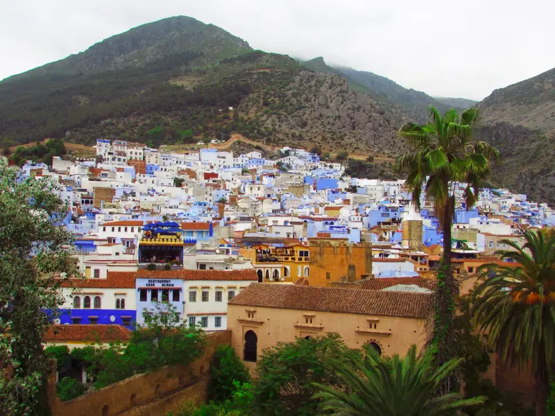 Panoramablick auf die blaue Stadt Chefchaouen in Marokko, eingebettet in die grüne Berglandschaft des Rif-Gebirges.