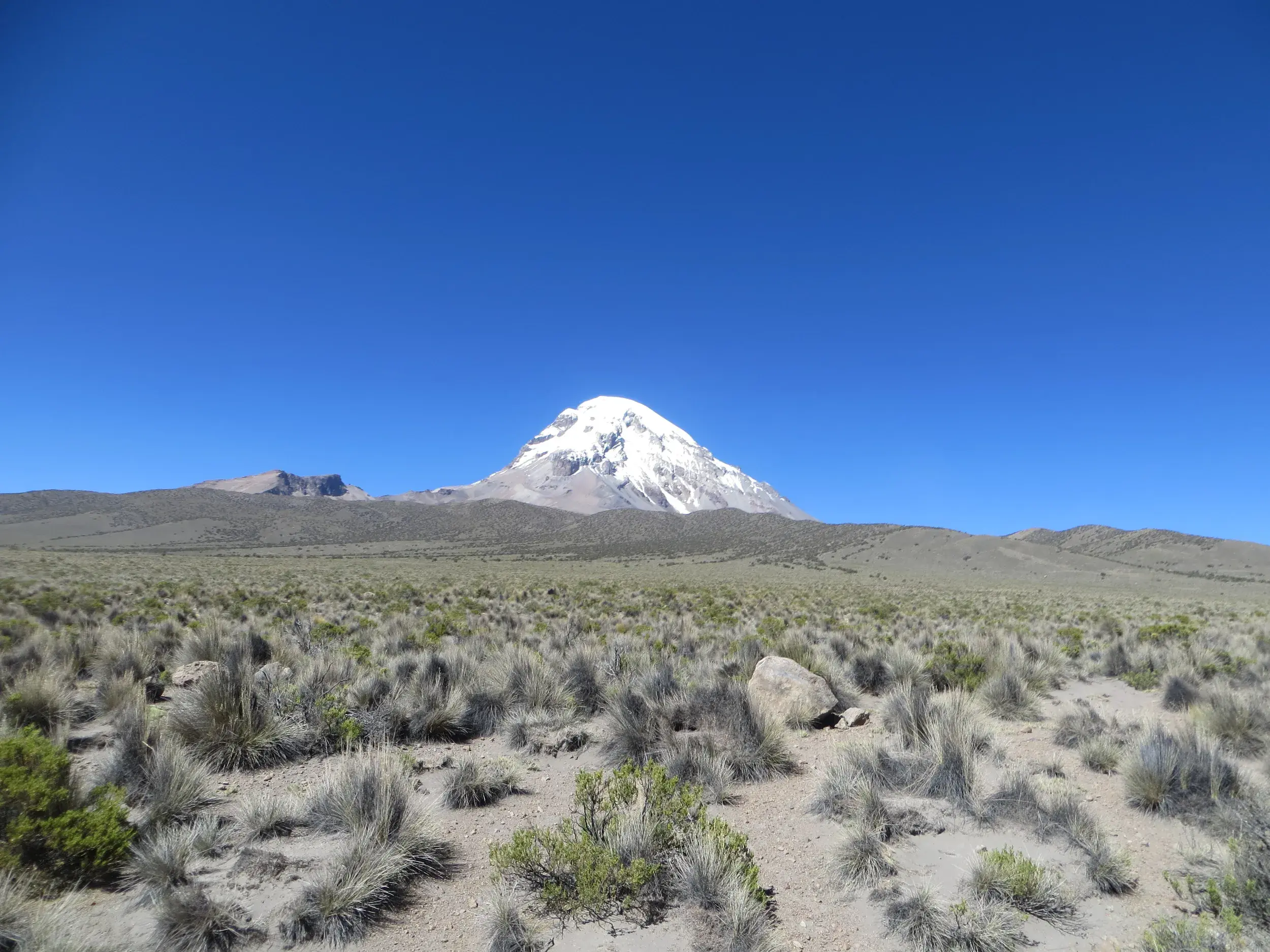 Blick auf die karge Hochebene im Sajama Nationalpark mit dem schneebedeckten Vulkan Nevado Sajama am Horizont.
