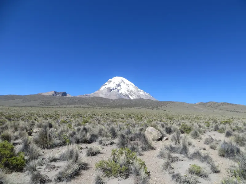 Blick auf die karge Hochebene im Sajama Nationalpark mit dem schneebedeckten Vulkan Nevado Sajama am Horizont.