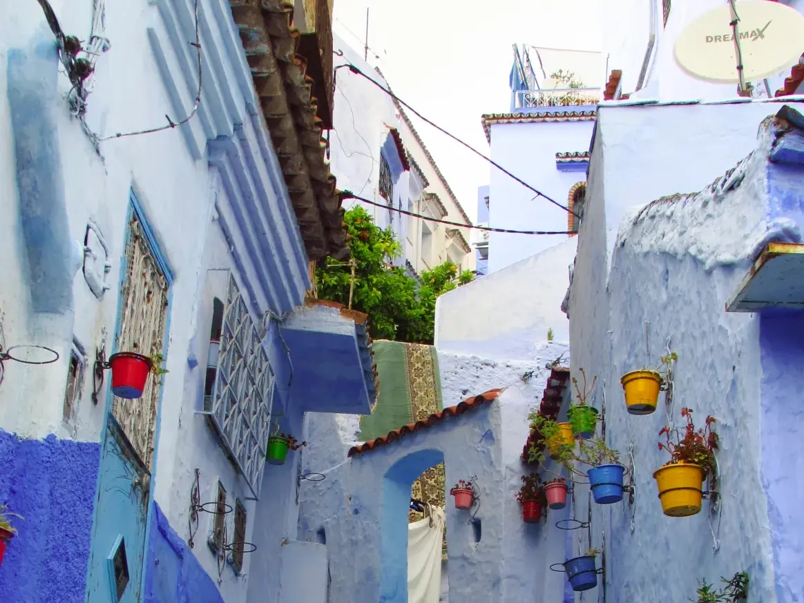 Bunte Blumentöpfe schmücken die Wände einer schmalen, blau getünchten Gasse in der Medina von Chefchaouen im Rif-Gebirge.