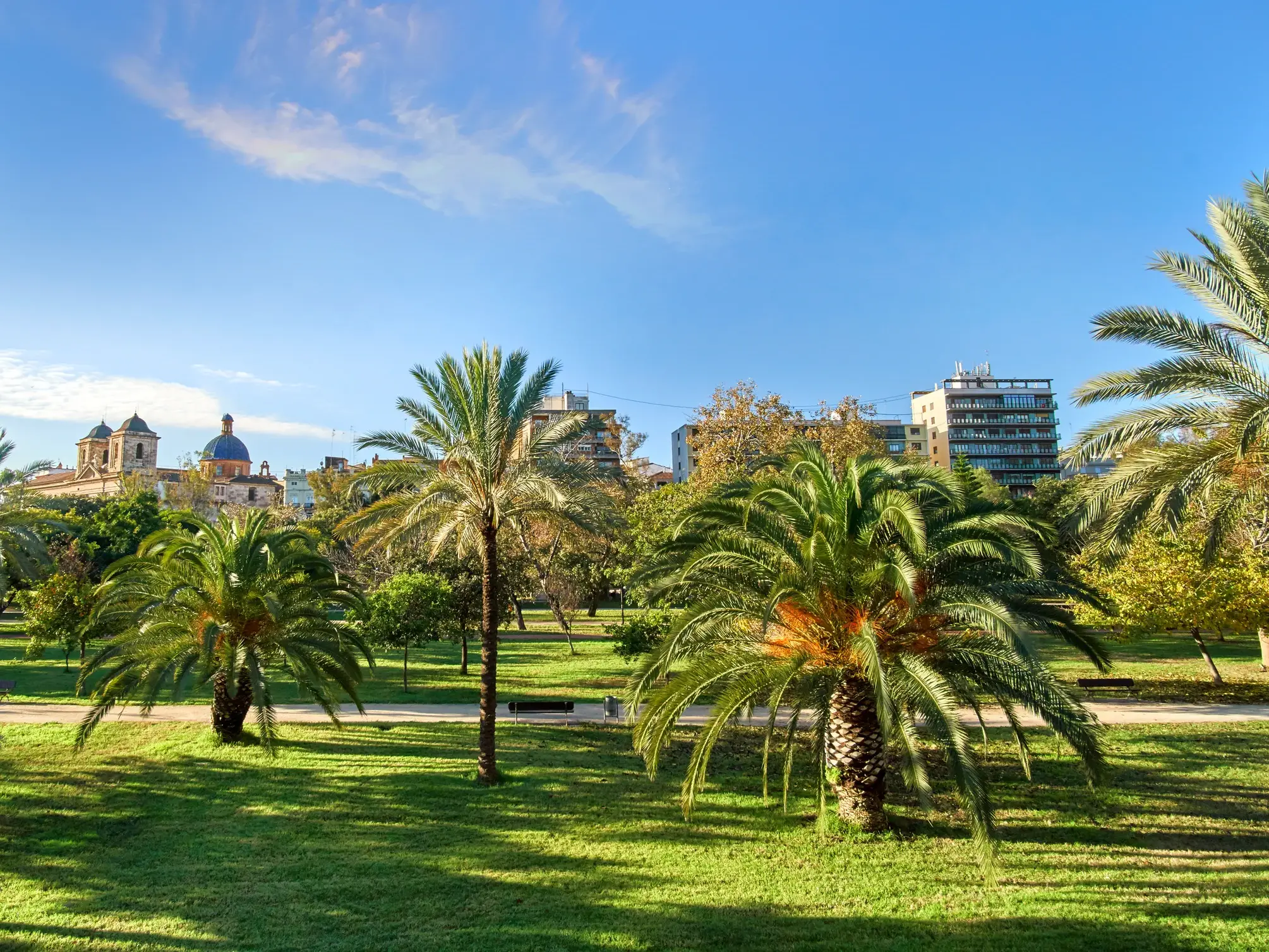 Sonnige Parklandschaft im Jardín del Turia in Valencia mit saftig grünen Wiesen, Palmen und der Stadtsilhouette im Hintergrund.