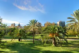 Sonnige Parklandschaft im Jardín del Turia in Valencia mit saftig grünen Wiesen, Palmen und der Stadtsilhouette im Hintergrund.