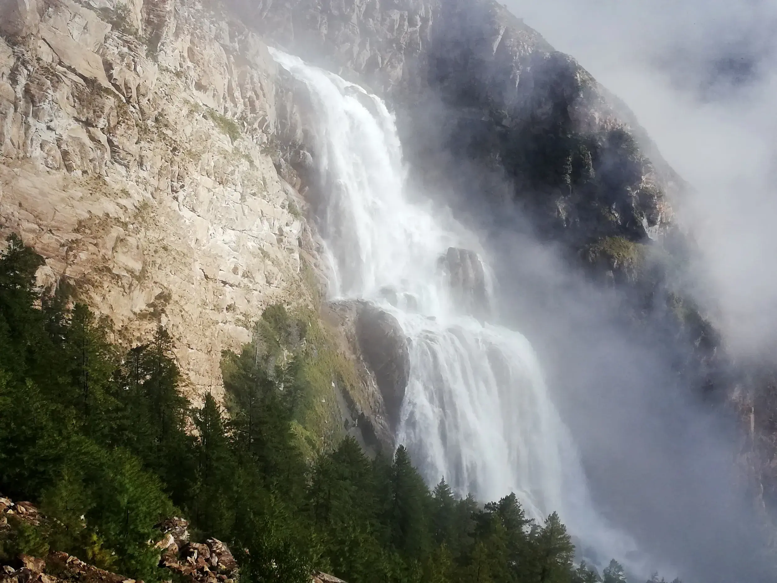 Mächtiger Wasserfall in der Dolpo-Region stürzt über eine Felswand, umgeben von Gischt, in einen dichten Nadelwald in Nepal.