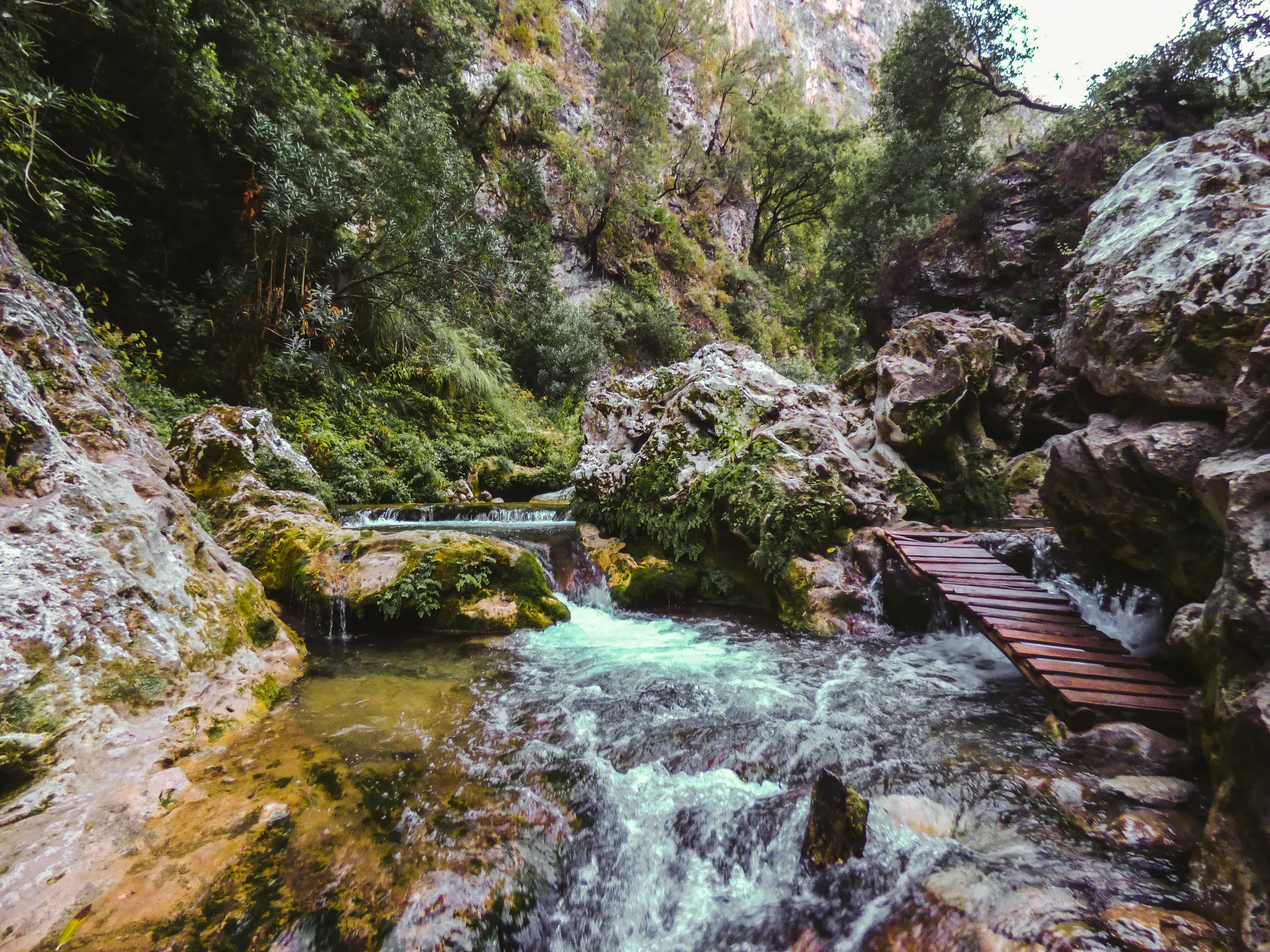 Eine einfache Holzbrücke führt auf einer Wanderung bei Akchour über einen türkisfarbenen Gebirgsbach im Rif-Gebirge.
