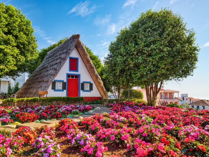 Ein traditionelles, strohgedecktes Bauernhaus in Santana auf Madeira, umgeben von einem bunten Blumengarten unter blauem Himmel.